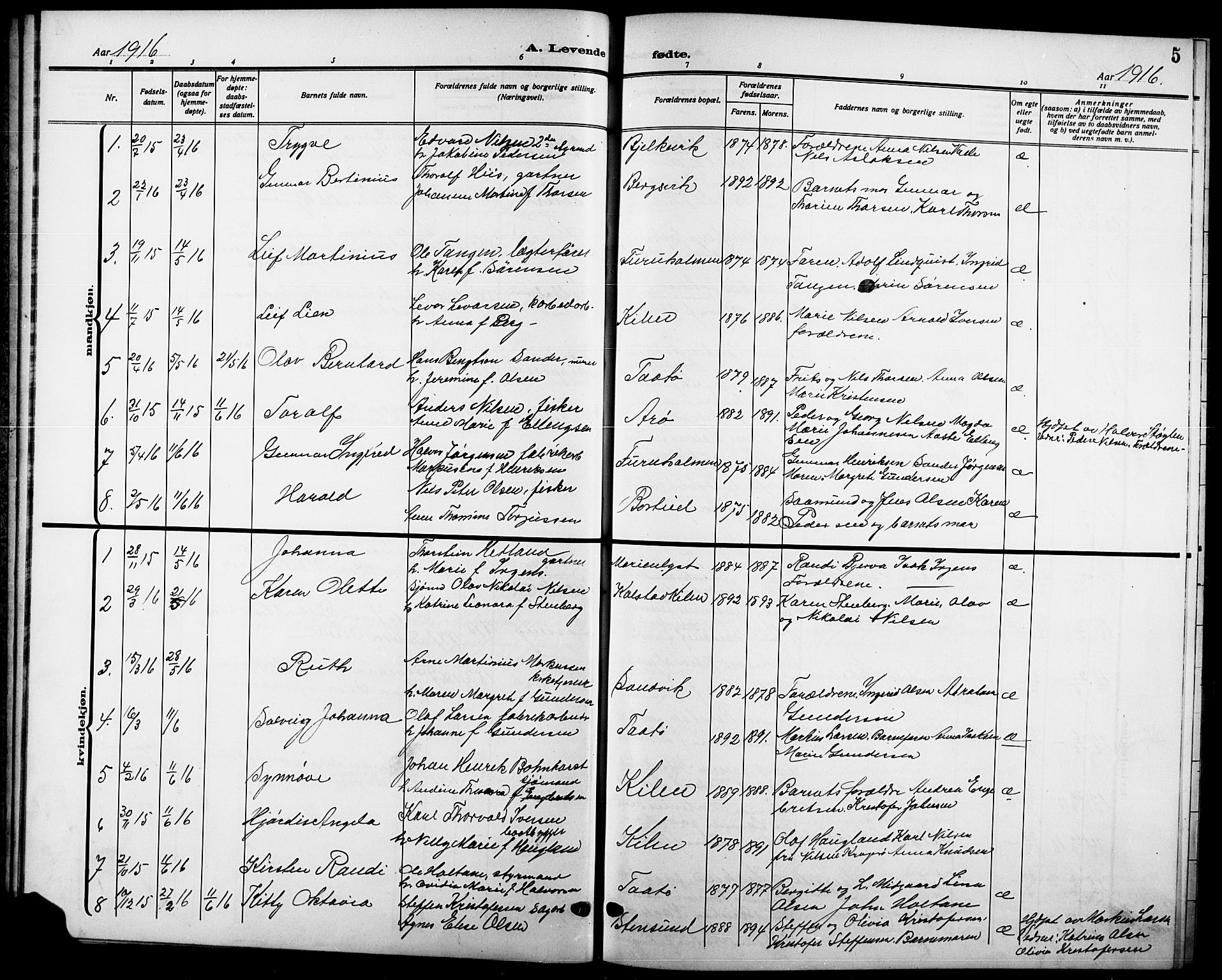Skåtøy kirkebøker, SAKO/A-304/G/Ga/L0005: Parish register (copy) no. I 5, 1915-1925, p. 5