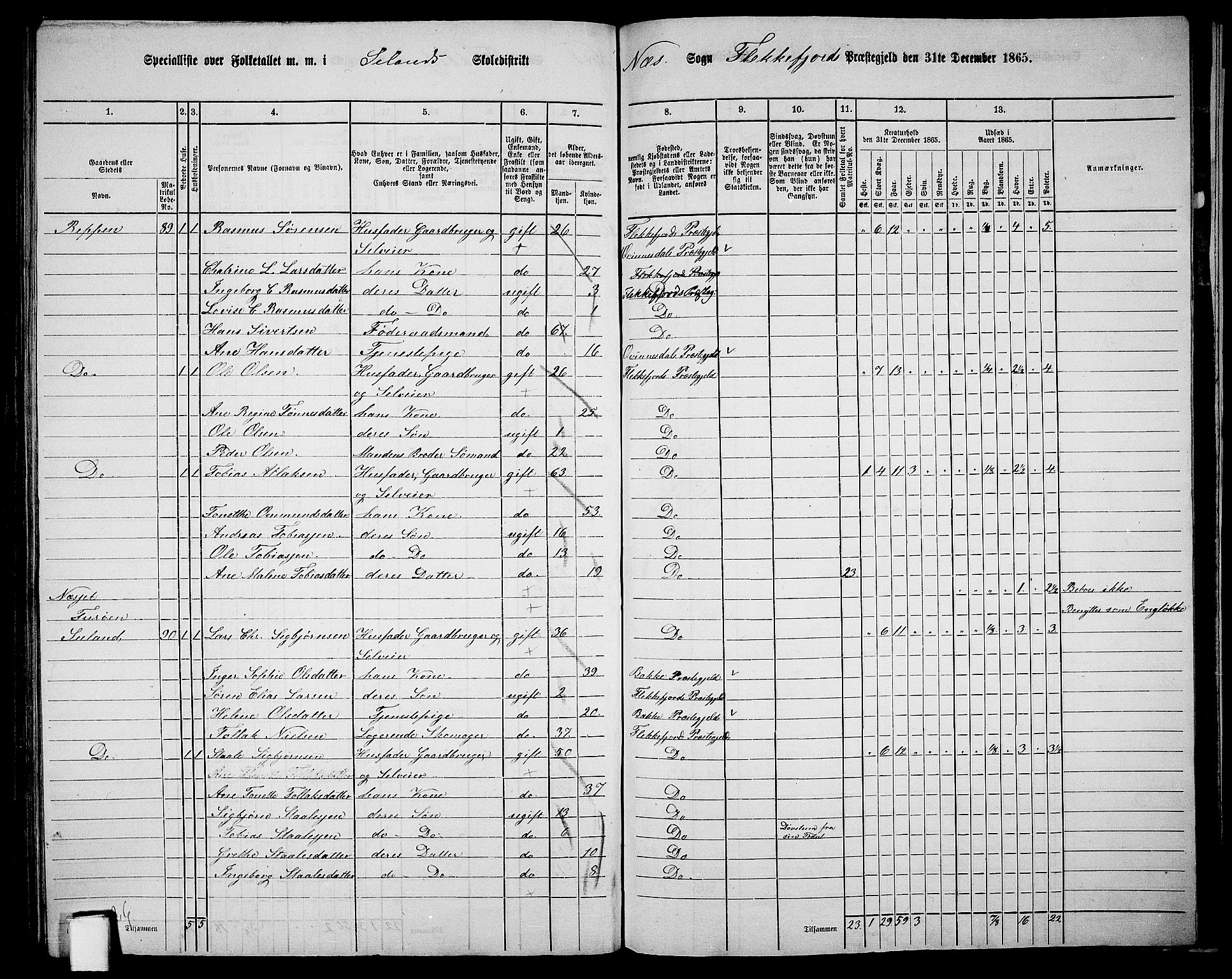 RA, 1865 census for Flekkefjord/Nes og Hidra, 1865, p. 158