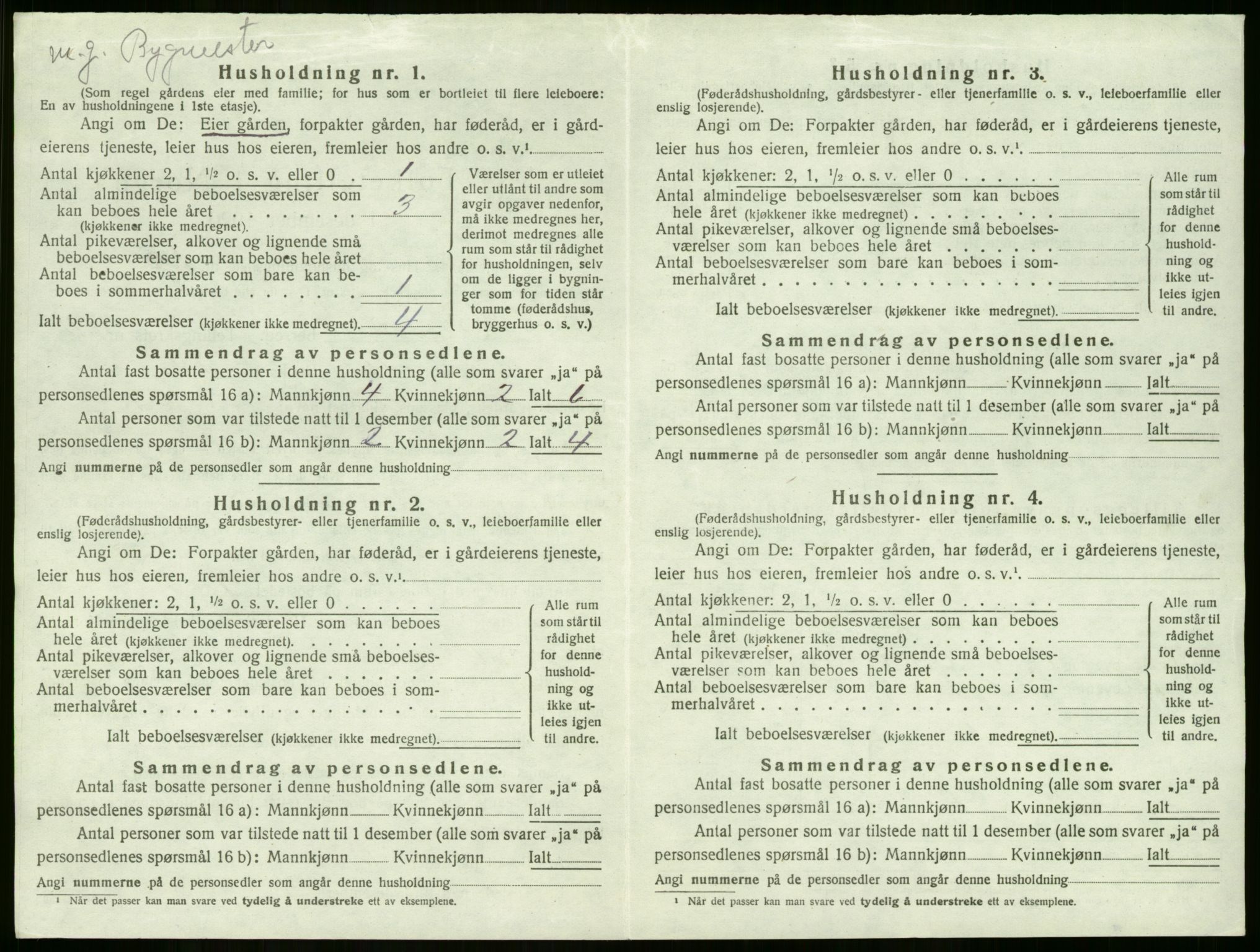 SAKO, 1920 census for Lier, 1920, p. 2018