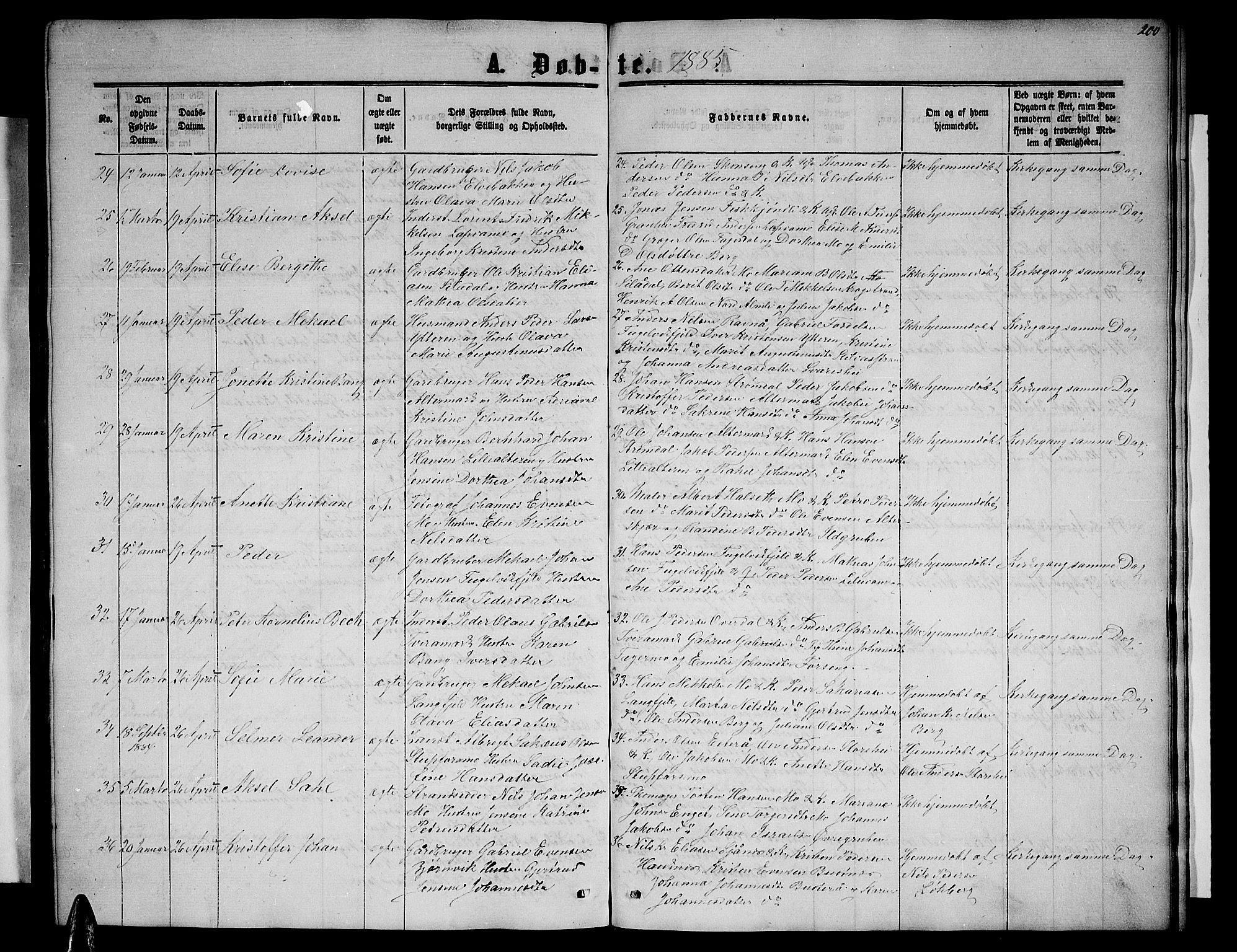 Ministerialprotokoller, klokkerbøker og fødselsregistre - Nordland, SAT/A-1459/827/L0415: Parish register (copy) no. 827C04, 1864-1886, p. 200