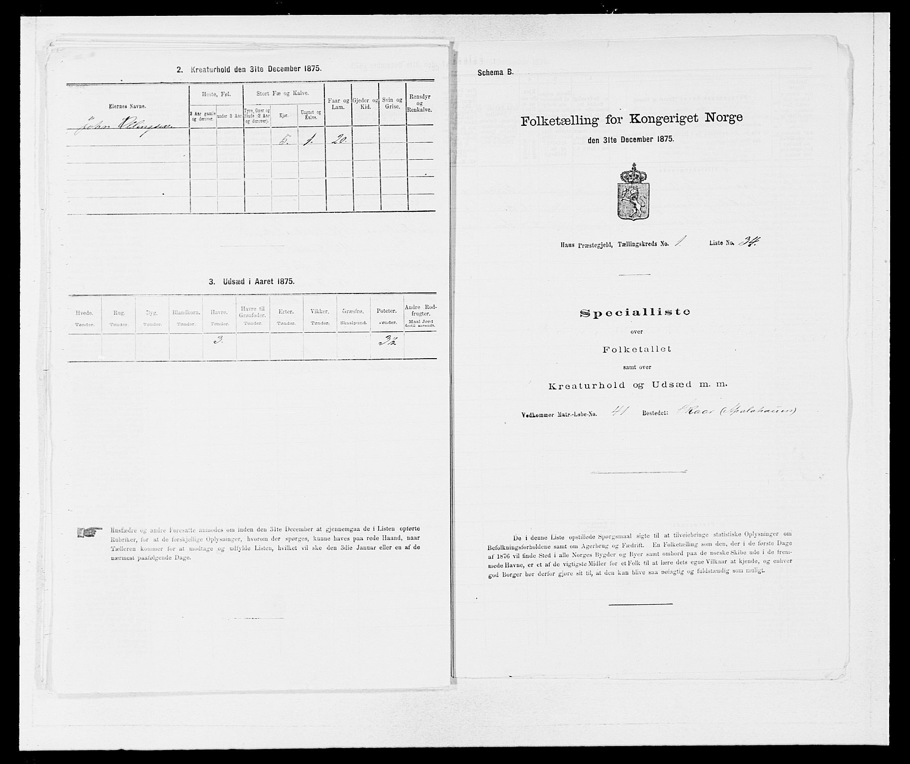 SAB, 1875 census for 1250P Haus, 1875, p. 94