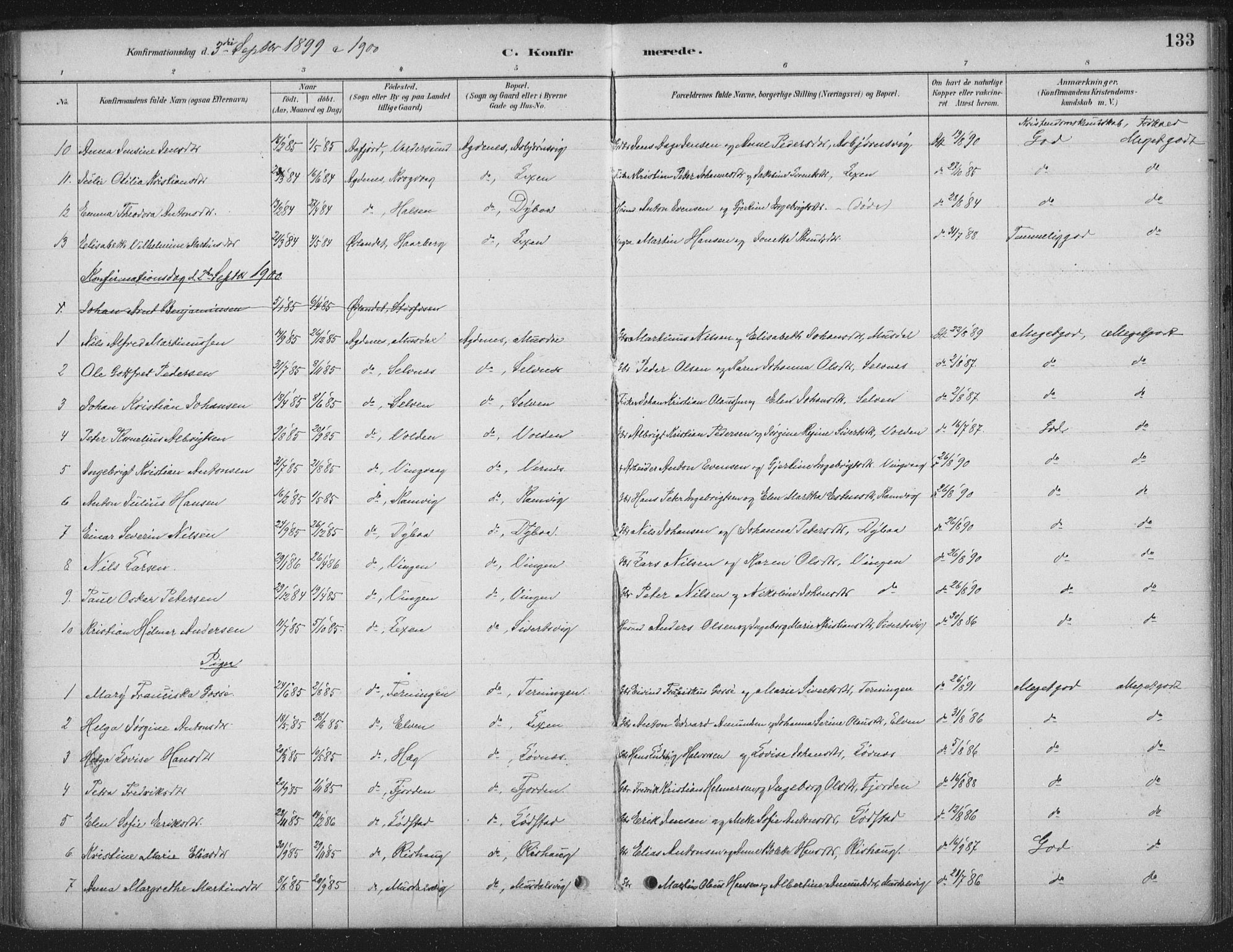 Ministerialprotokoller, klokkerbøker og fødselsregistre - Sør-Trøndelag, SAT/A-1456/662/L0755: Parish register (official) no. 662A01, 1879-1905, p. 133