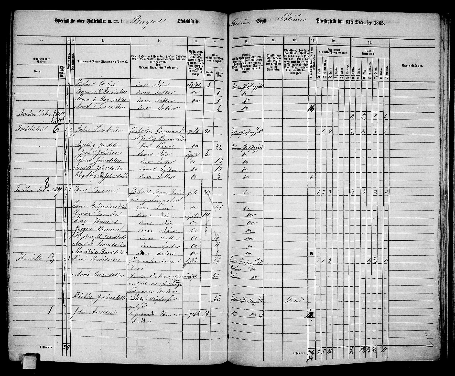 RA, 1865 census for Solum, 1865, p. 184