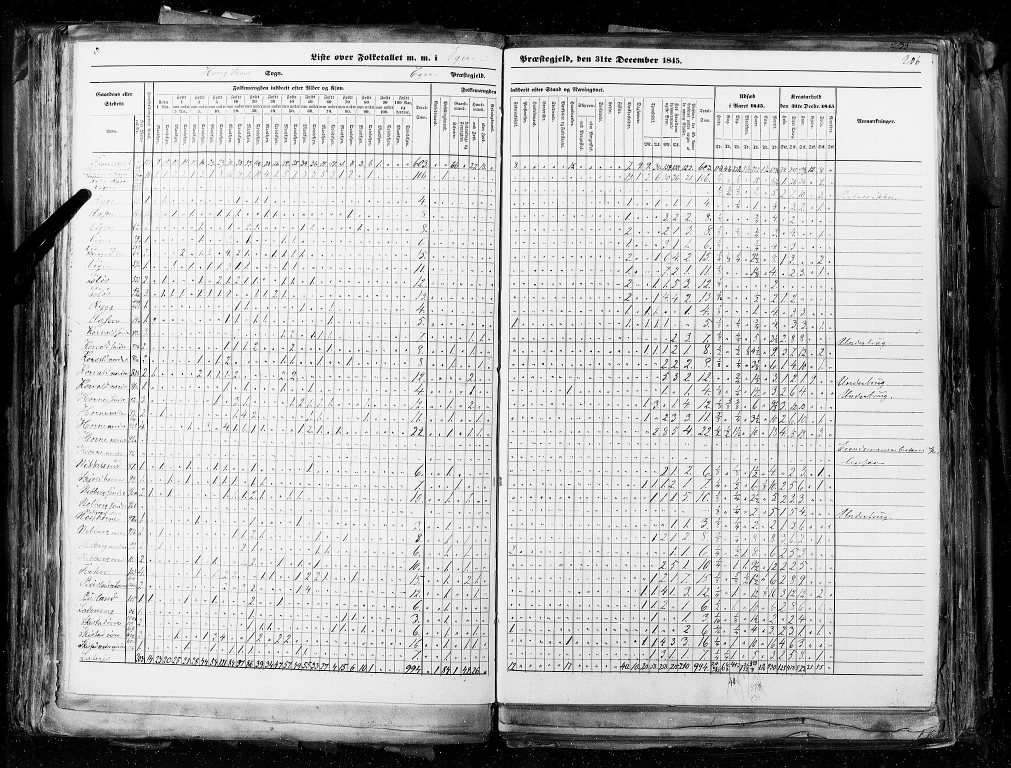 RA, Census 1845, vol. 4: Buskerud amt og Jarlsberg og Larvik amt, 1845, p. 206