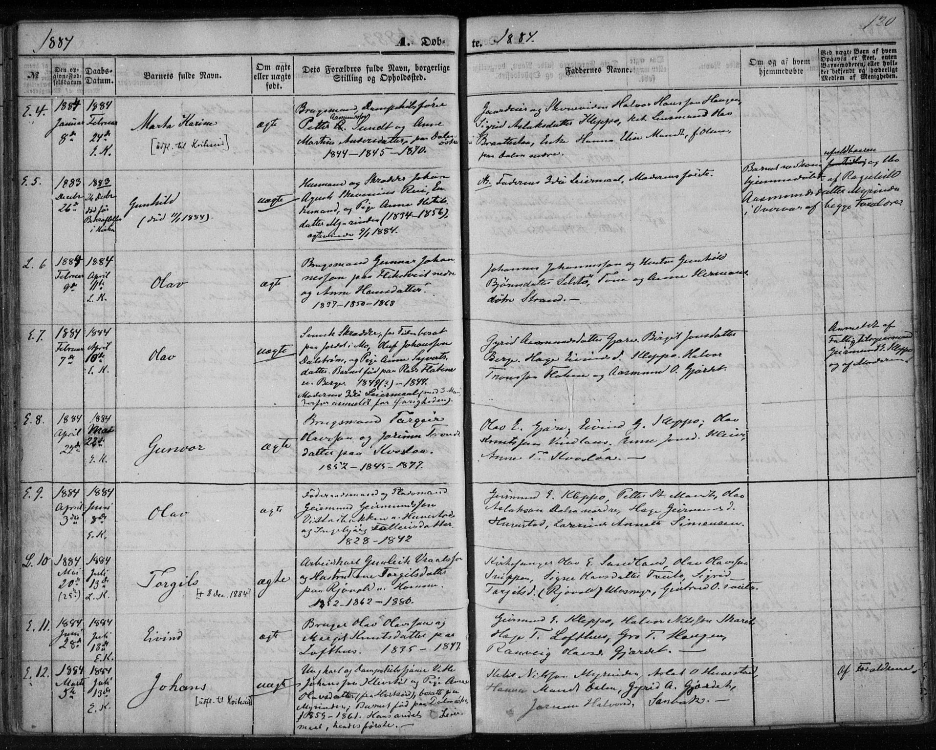 Lårdal kirkebøker, SAKO/A-284/F/Fa/L0006: Parish register (official) no. I 6, 1861-1886, p. 120