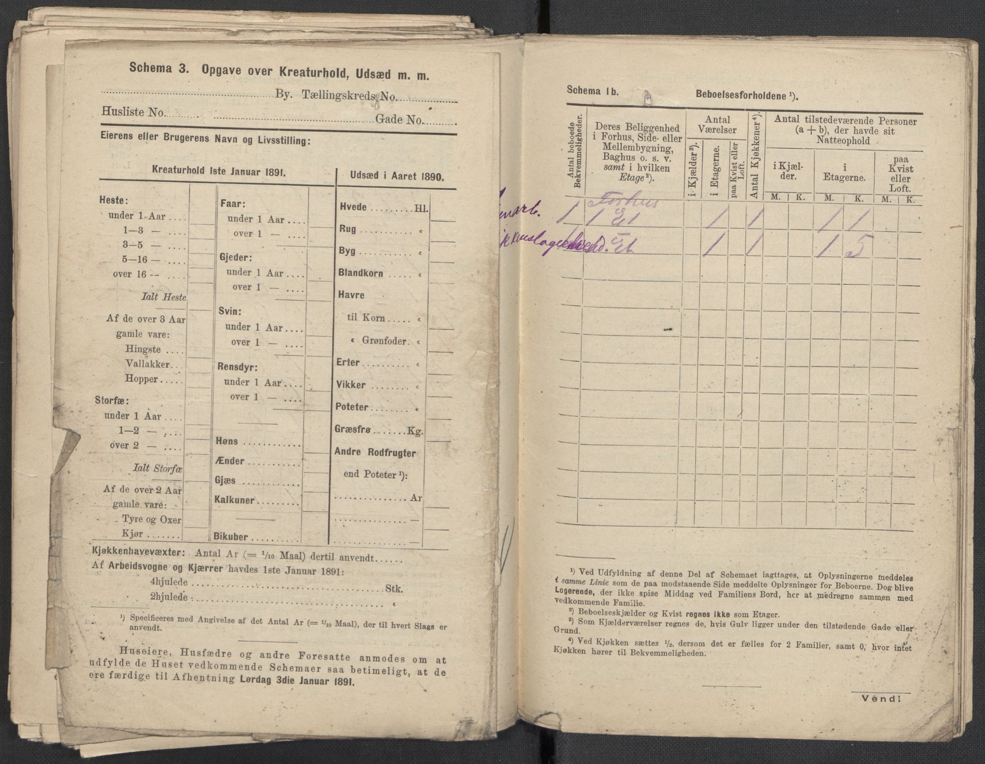 RA, 1891 Census for 1301 Bergen, 1891, p. 2152