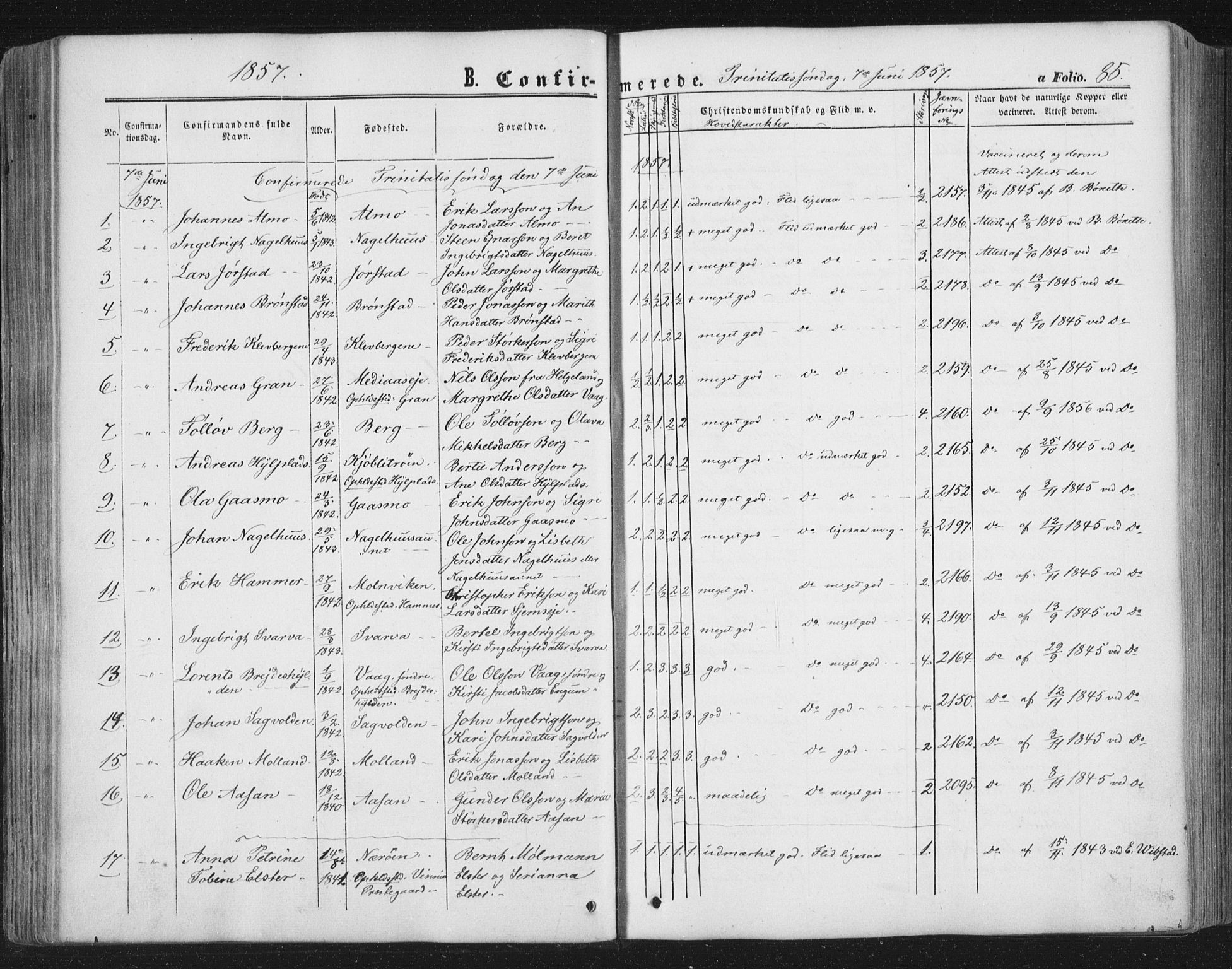Ministerialprotokoller, klokkerbøker og fødselsregistre - Nord-Trøndelag, AV/SAT-A-1458/749/L0472: Parish register (official) no. 749A06, 1857-1873, p. 85