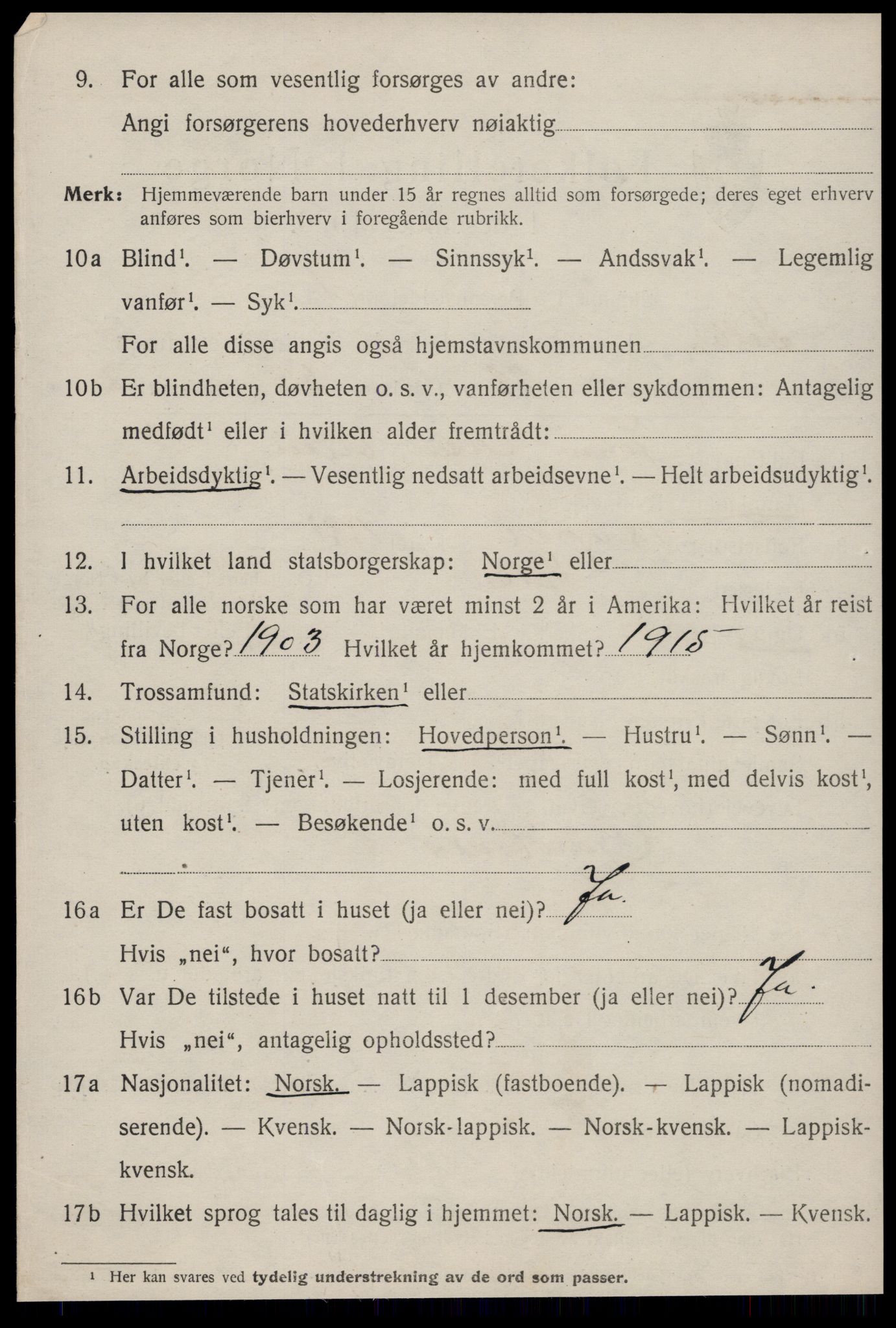 SAT, 1920 census for Selbu, 1920, p. 4747