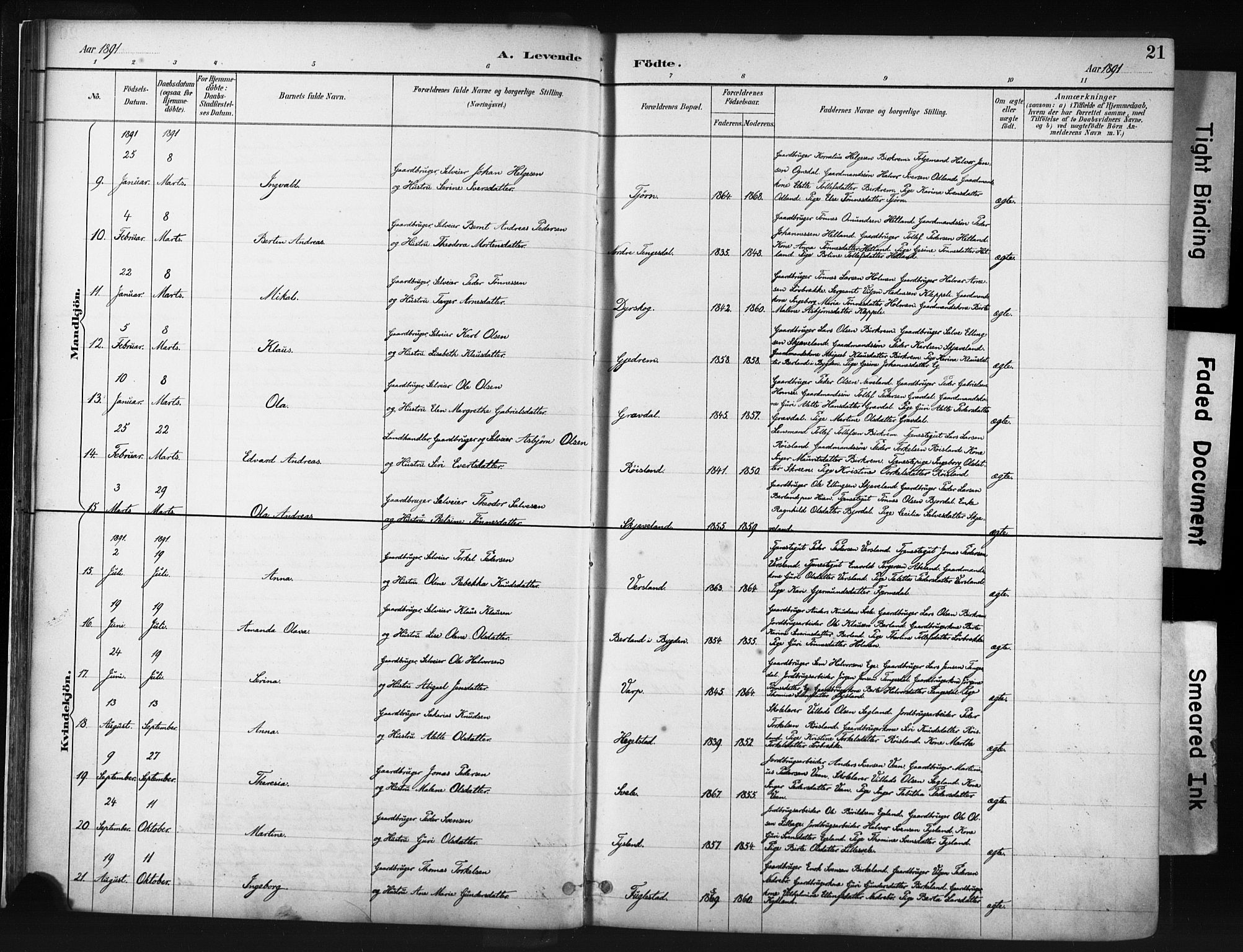 Helleland sokneprestkontor, AV/SAST-A-101810: Parish register (official) no. A 9, 1887-1908, p. 21