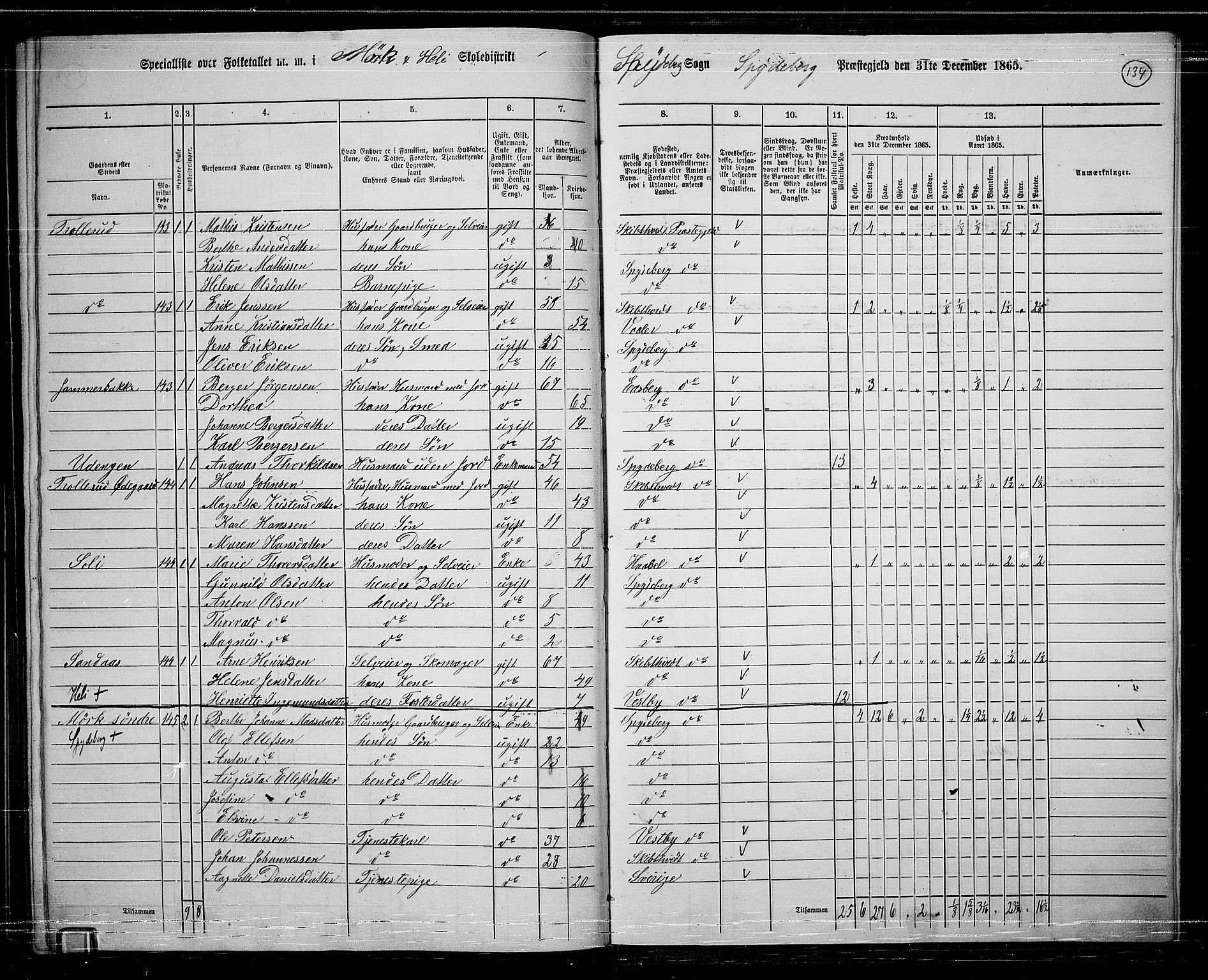 RA, 1865 census for Spydeberg, 1865, p. 117