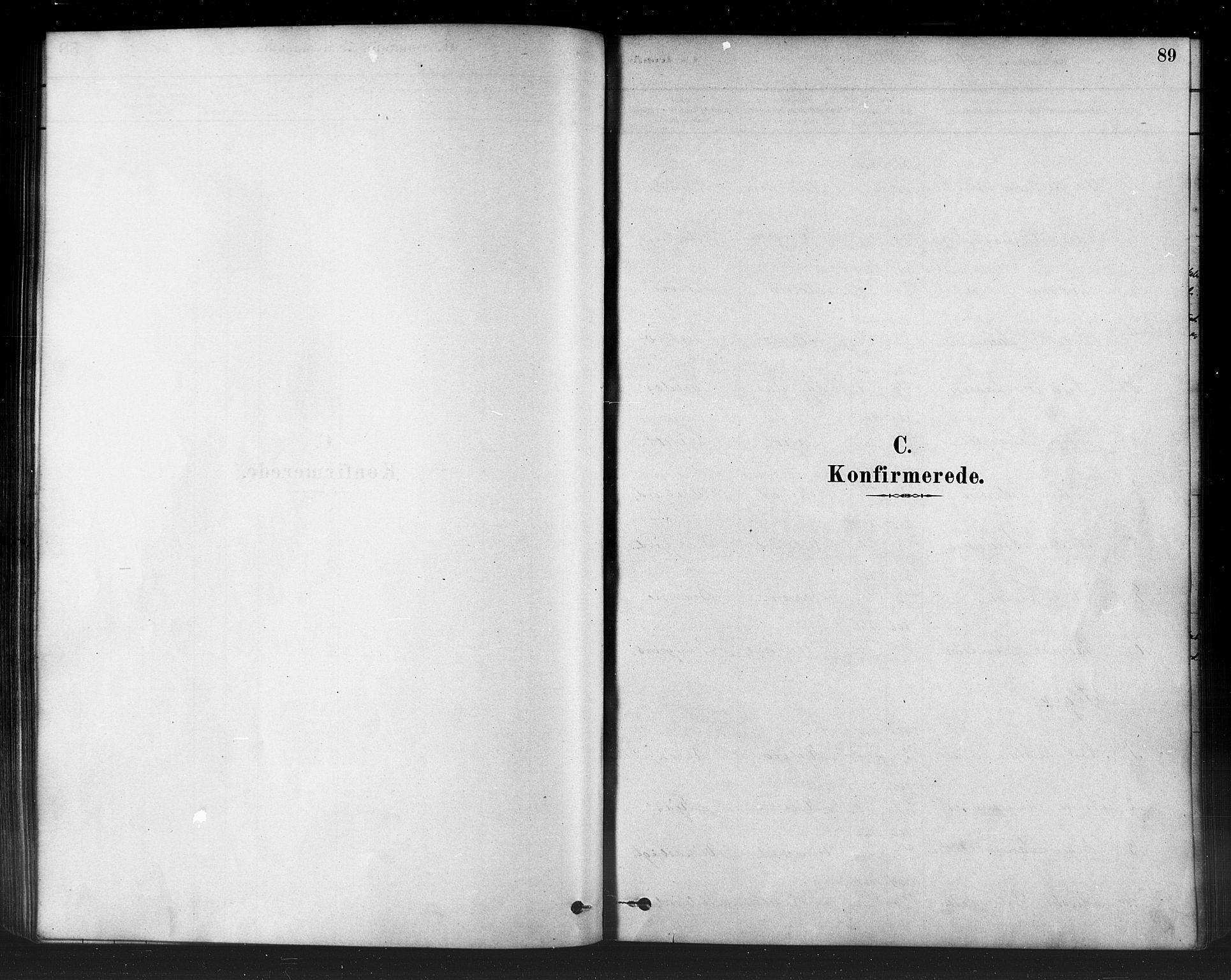 Kistrand/Porsanger sokneprestembete, SATØ/S-1351/H/Ha/L0007.kirke: Parish register (official) no. 7, 1881-1889, p. 89