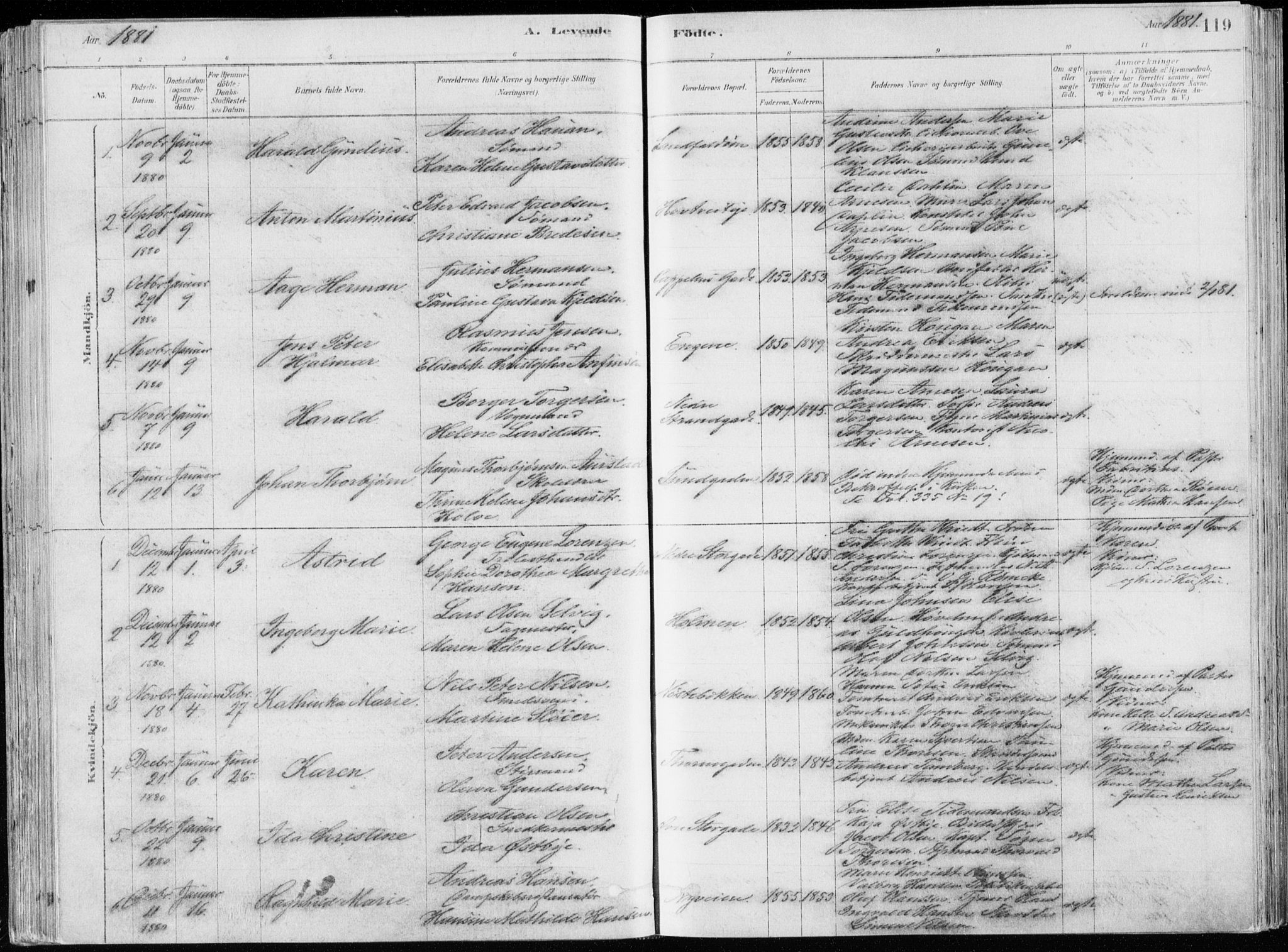 Bragernes kirkebøker, SAKO/A-6/F/Fb/L0006a: Parish register (official) no. II 6A, 1878-1885, p. 119