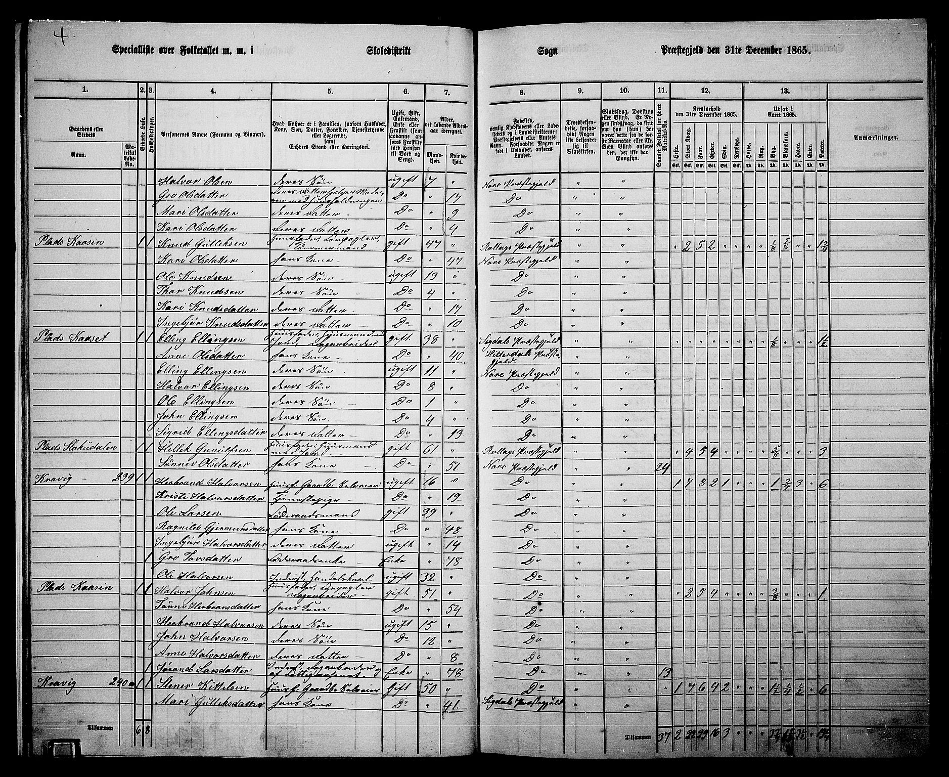 RA, 1865 census for Nore, 1865, p. 16