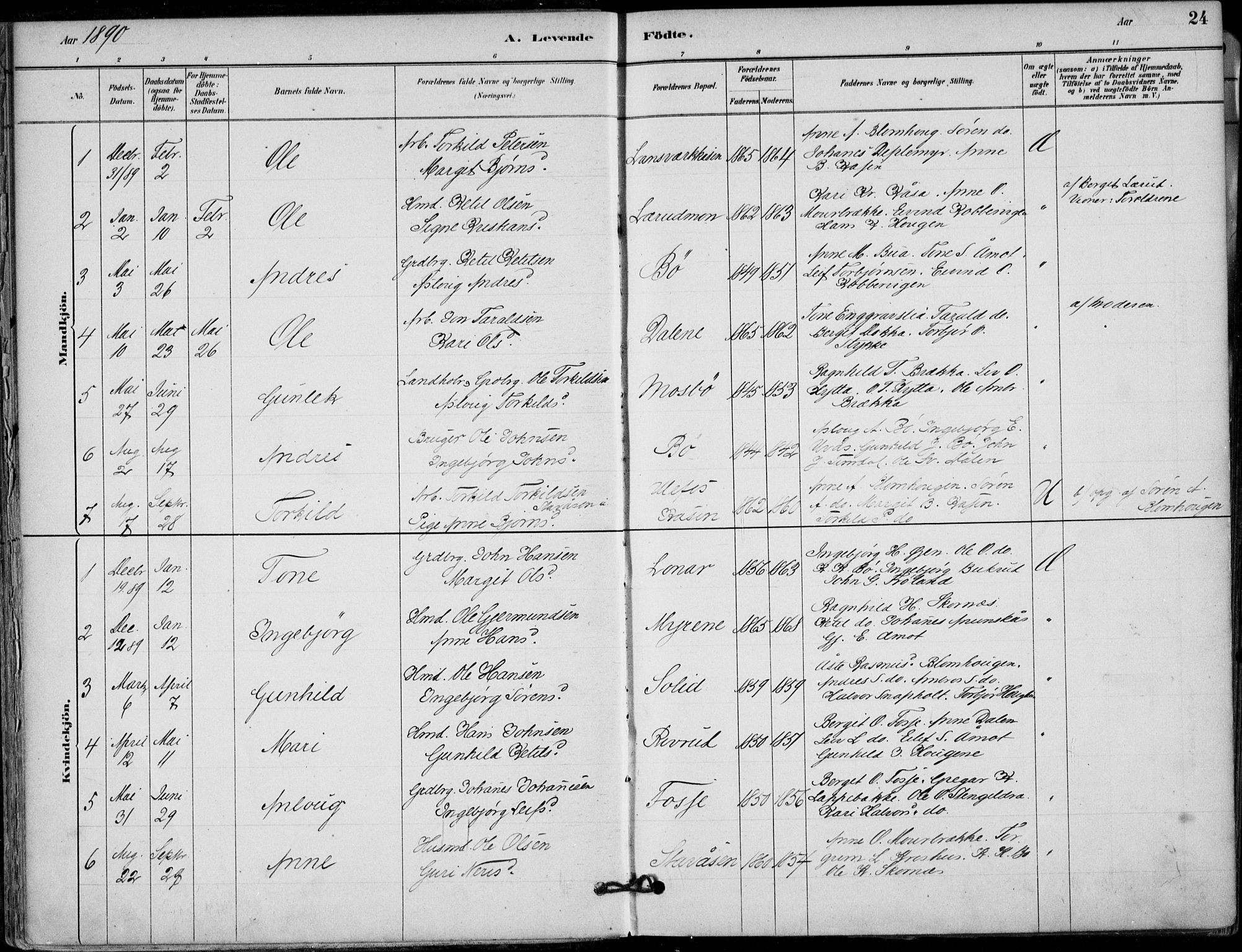 Hjartdal kirkebøker, SAKO/A-270/F/Fb/L0002: Parish register (official) no. II 2, 1880-1932, p. 24