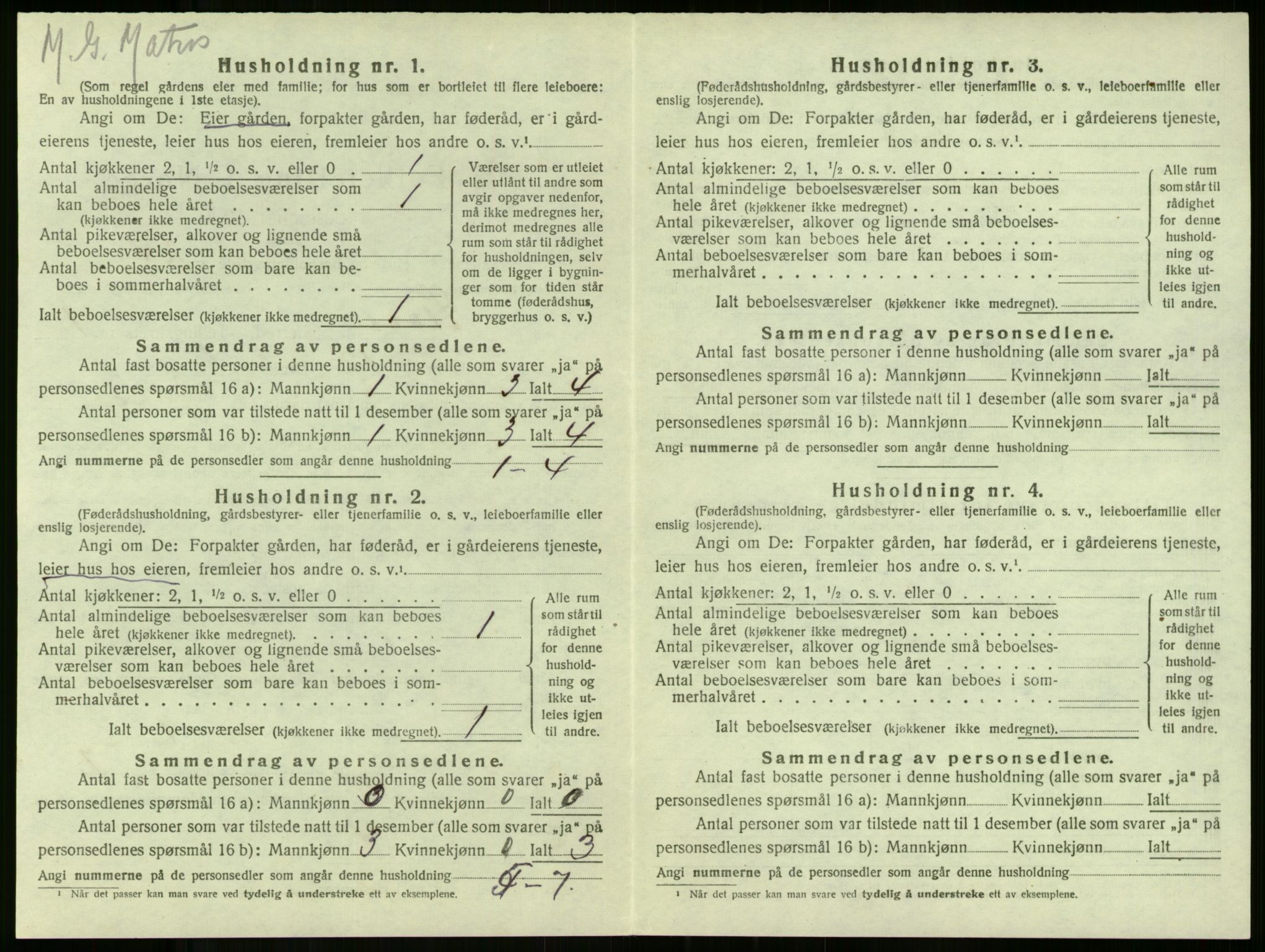 SAKO, 1920 census for Stokke, 1920, p. 258