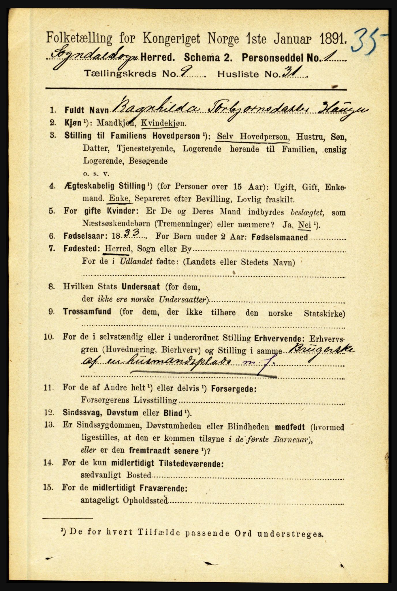 RA, 1891 census for 1420 Sogndal, 1891, p. 3886