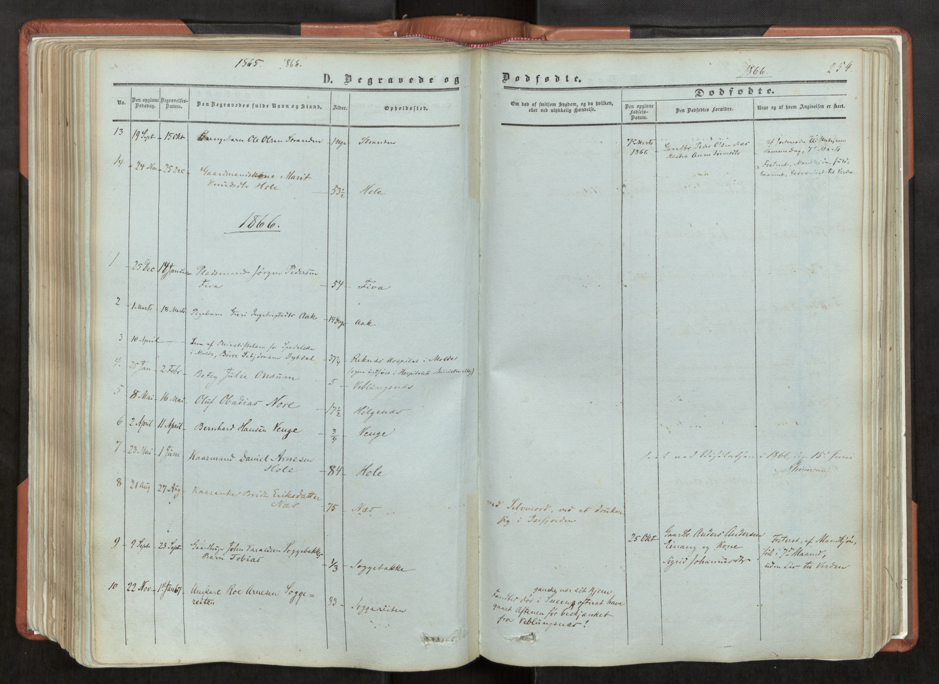 Ministerialprotokoller, klokkerbøker og fødselsregistre - Møre og Romsdal, AV/SAT-A-1454/544/L0572: Parish register (official) no. 544A05, 1854-1886, p. 254