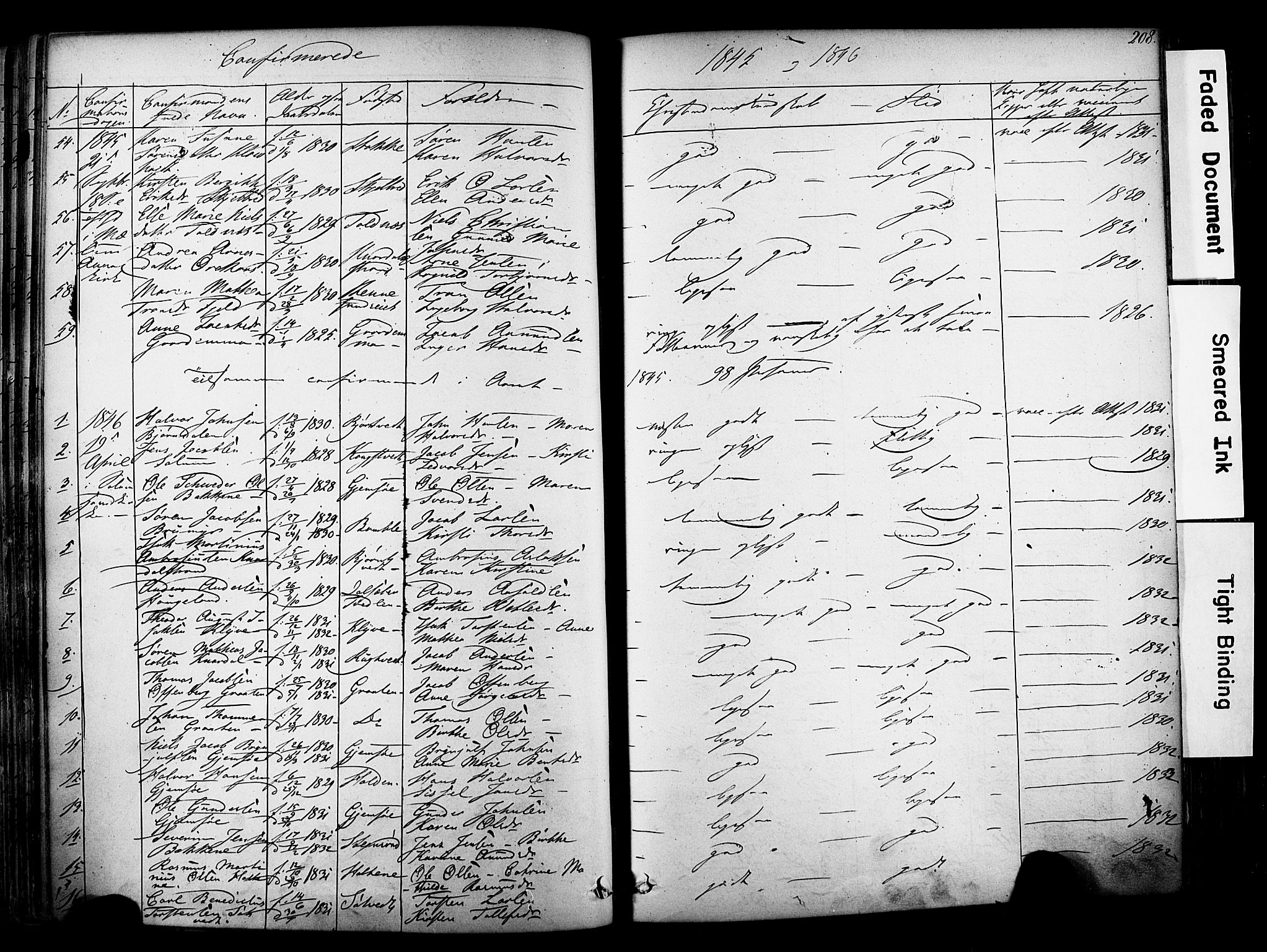 Solum kirkebøker, SAKO/A-306/F/Fa/L0006: Parish register (official) no. I 6, 1844-1855, p. 208