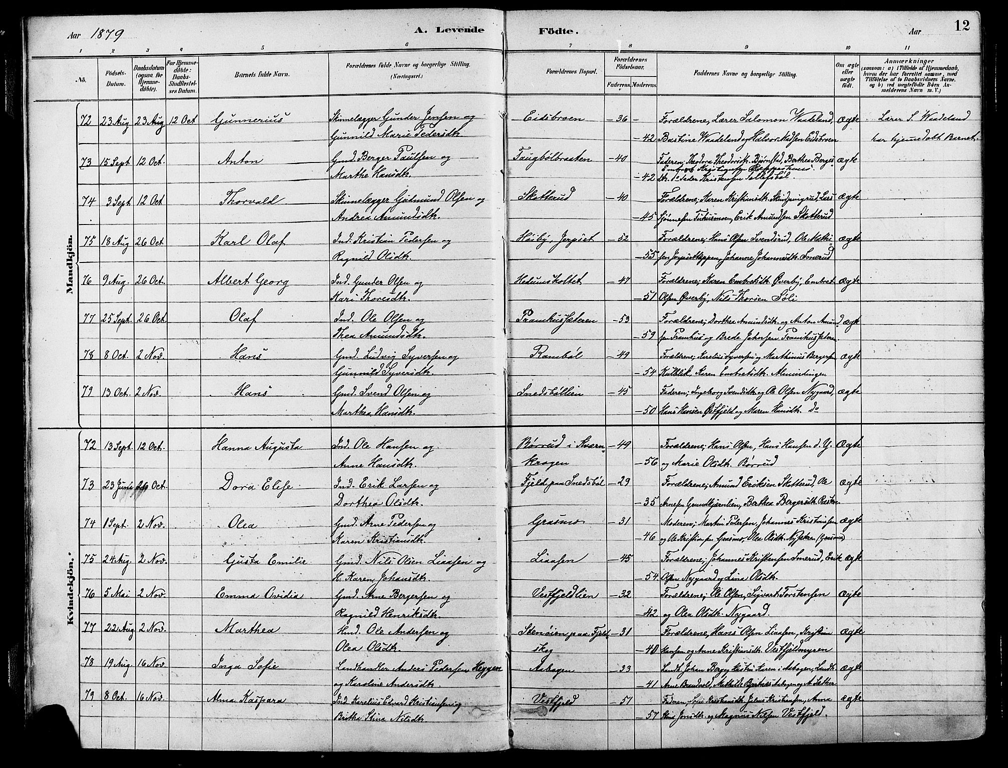 Eidskog prestekontor, SAH/PREST-026/H/Ha/Haa/L0003: Parish register (official) no. 3, 1879-1892, p. 12