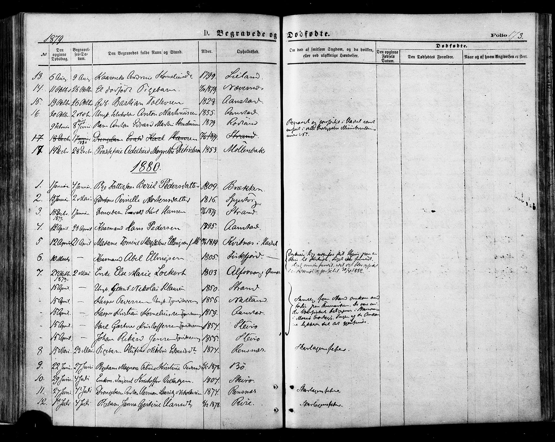 Ministerialprotokoller, klokkerbøker og fødselsregistre - Nordland, AV/SAT-A-1459/895/L1370: Parish register (official) no. 895A05, 1873-1884, p. 173