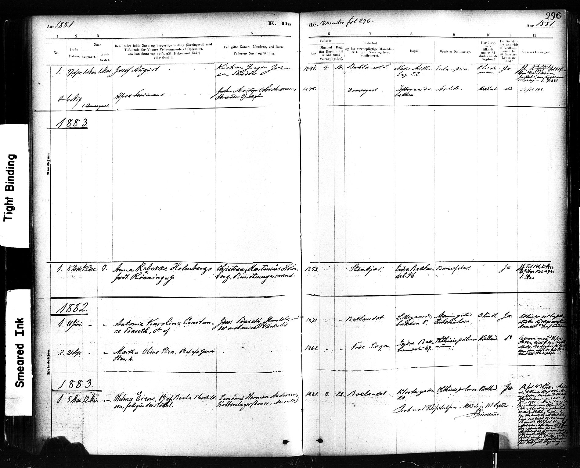 Ministerialprotokoller, klokkerbøker og fødselsregistre - Sør-Trøndelag, SAT/A-1456/604/L0189: Parish register (official) no. 604A10, 1878-1892, p. 296