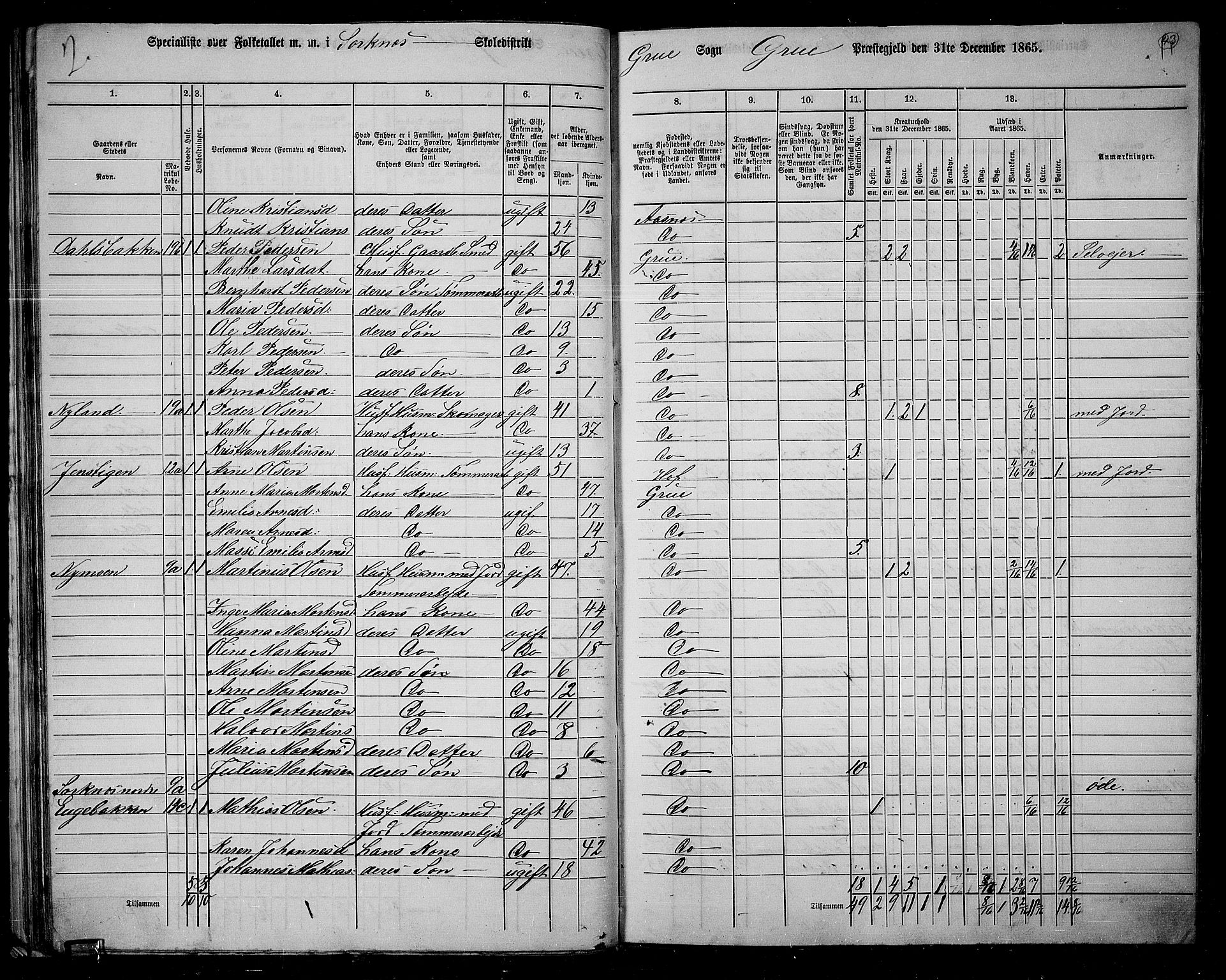 RA, 1865 census for Grue, 1865, p. 42