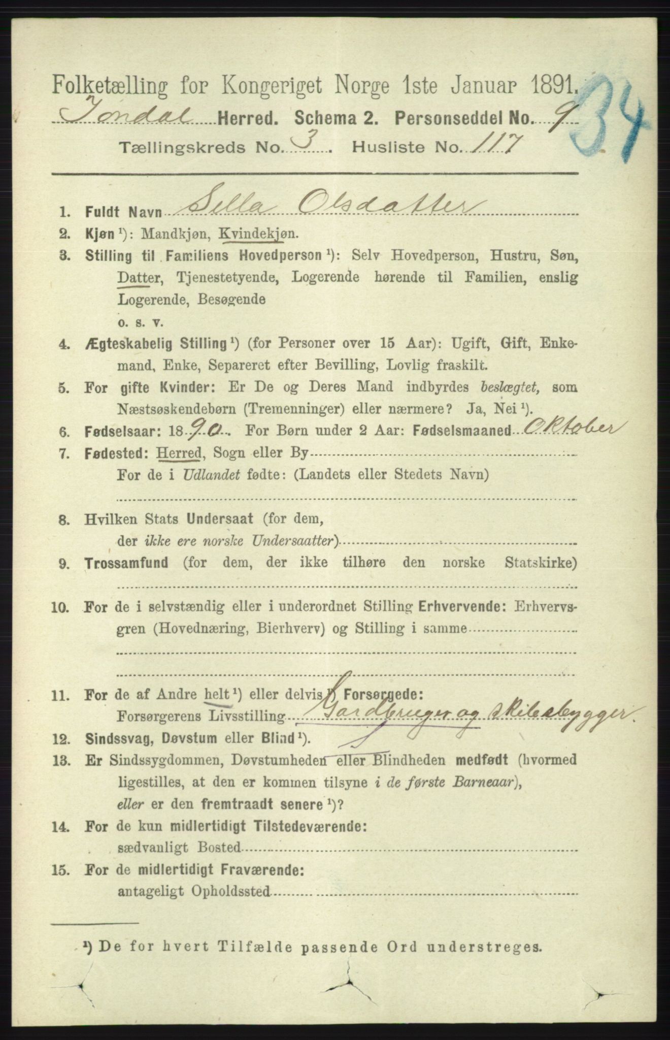 RA, 1891 census for 1227 Jondal, 1891, p. 1987