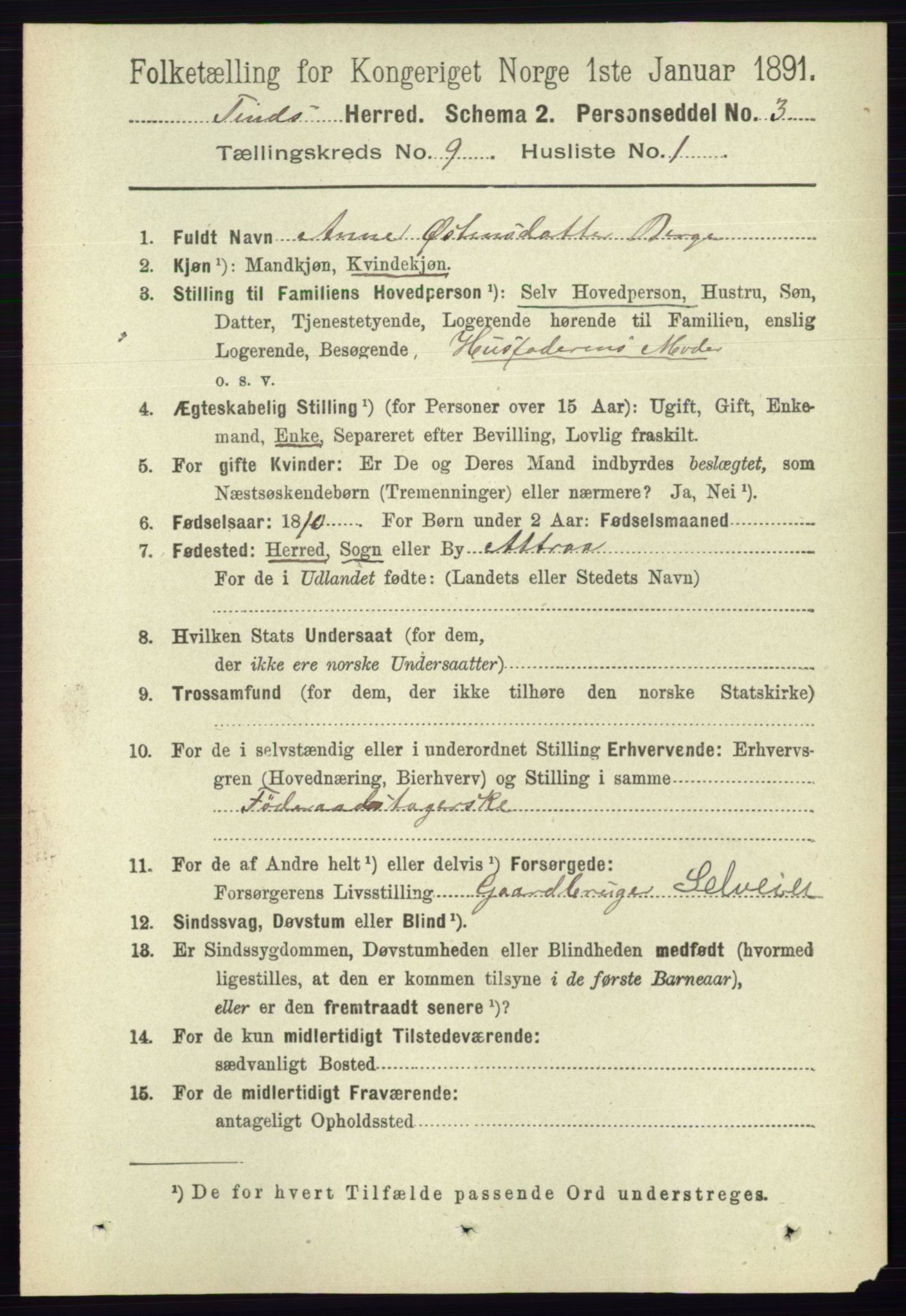 RA, 1891 census for 0826 Tinn, 1891, p. 1822