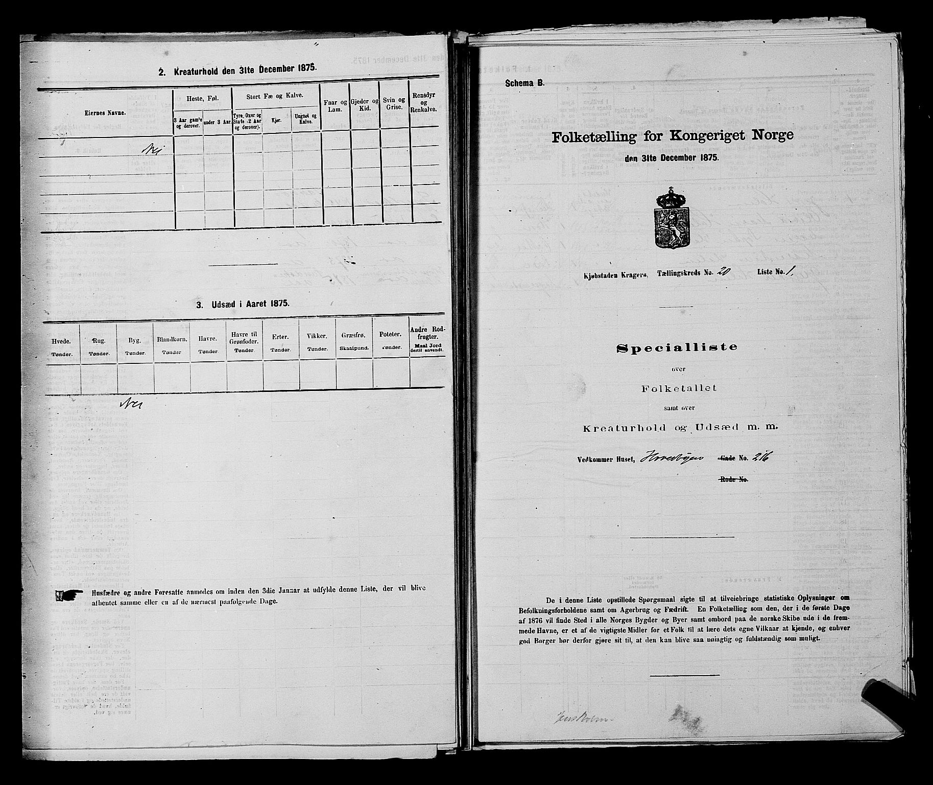 SAKO, 1875 census for 0801P Kragerø, 1875, p. 420