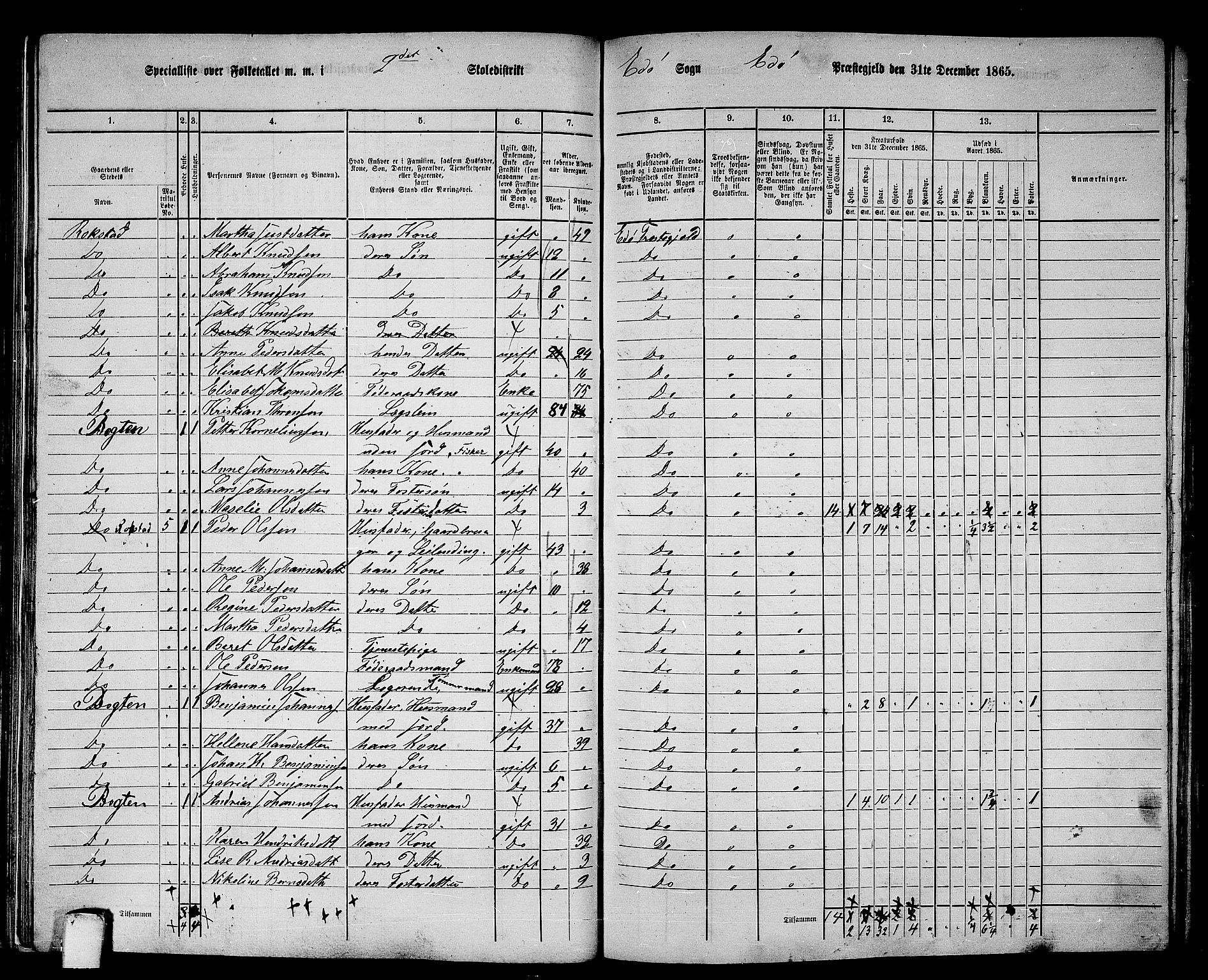 RA, 1865 census for Edøy, 1865, p. 91