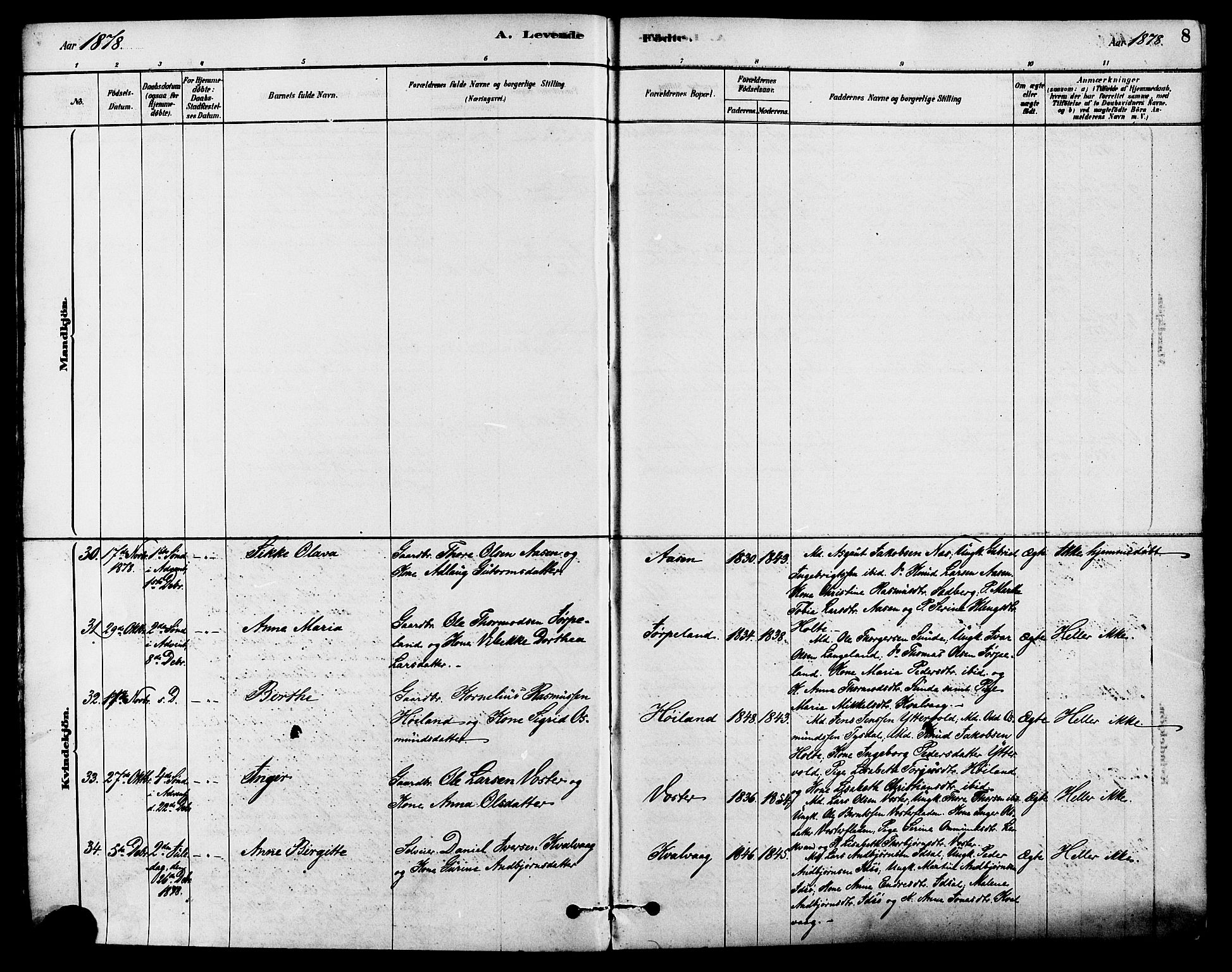 Strand sokneprestkontor, SAST/A-101828/H/Ha/Haa/L0009: Parish register (official) no. A 9, 1877-1908, p. 8