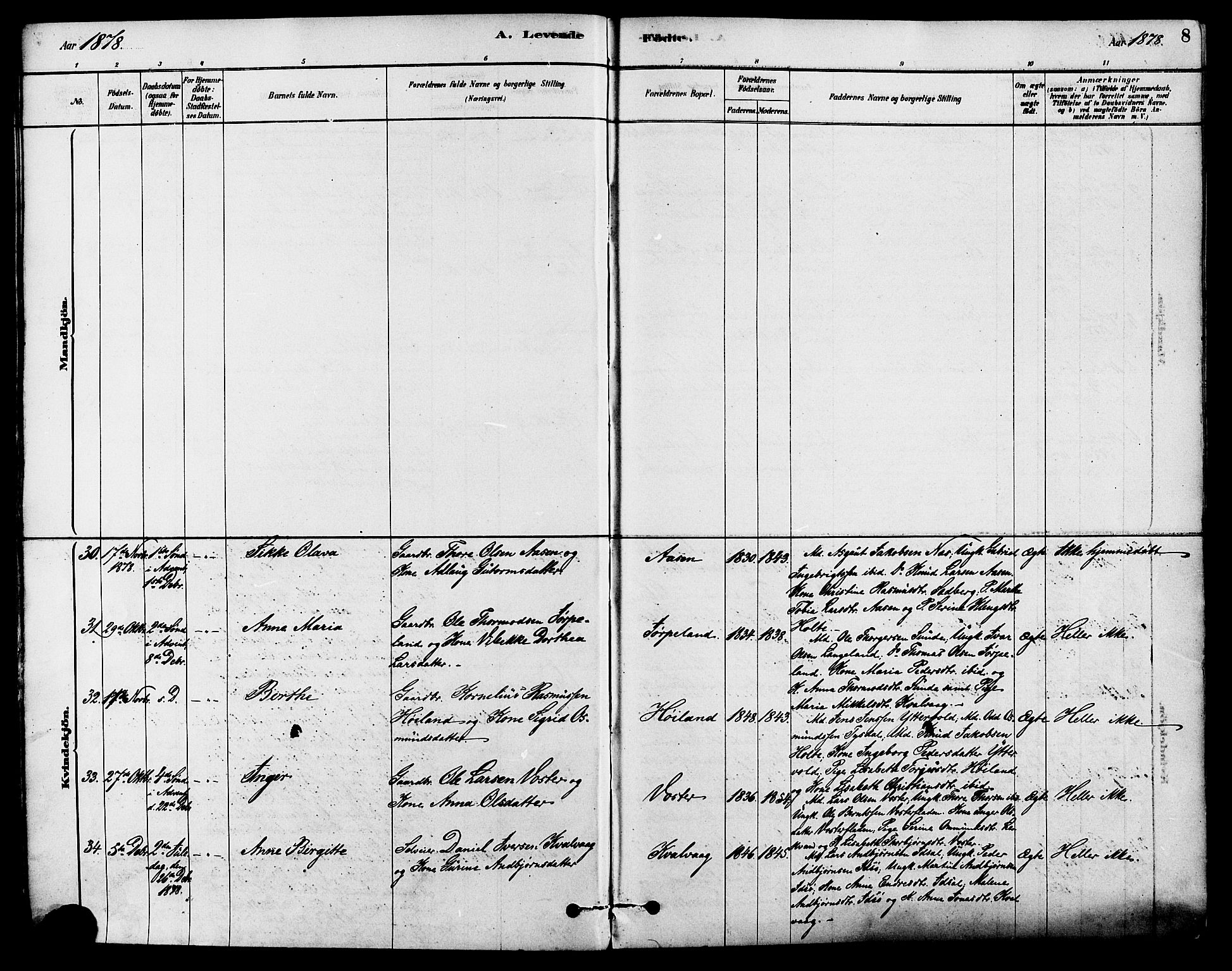 Strand sokneprestkontor, AV/SAST-A-101828/H/Ha/Haa/L0009: Parish register (official) no. A 9, 1877-1908, p. 8