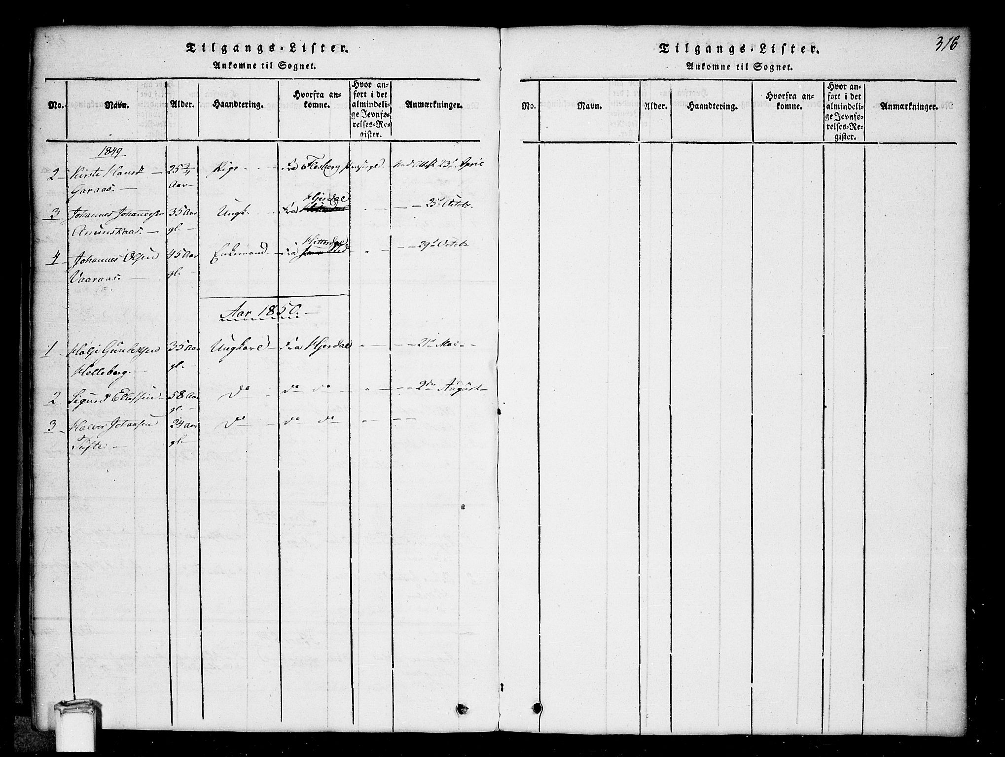 Gransherad kirkebøker, SAKO/A-267/G/Gb/L0001: Parish register (copy) no. II 1, 1815-1860, p. 316