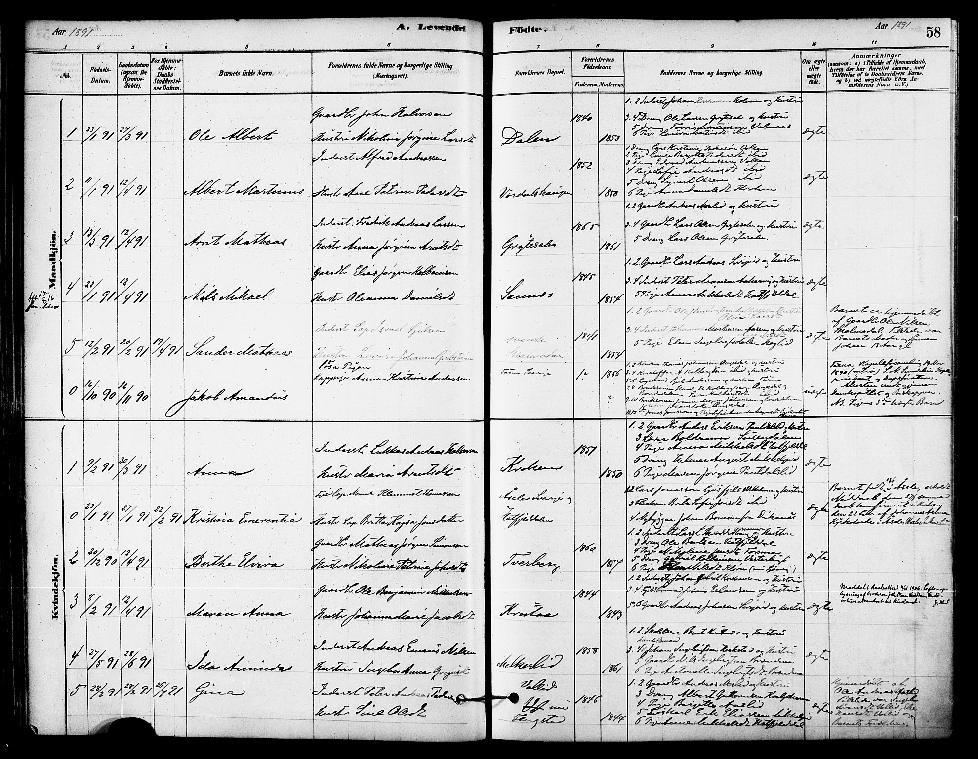 Ministerialprotokoller, klokkerbøker og fødselsregistre - Nordland, AV/SAT-A-1459/823/L0325: Parish register (official) no. 823A02, 1878-1898, p. 58