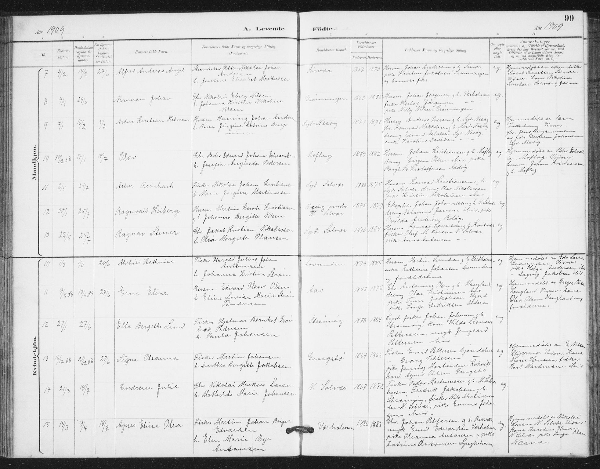 Ministerialprotokoller, klokkerbøker og fødselsregistre - Nordland, AV/SAT-A-1459/839/L0573: Parish register (copy) no. 839C03, 1892-1917, p. 99