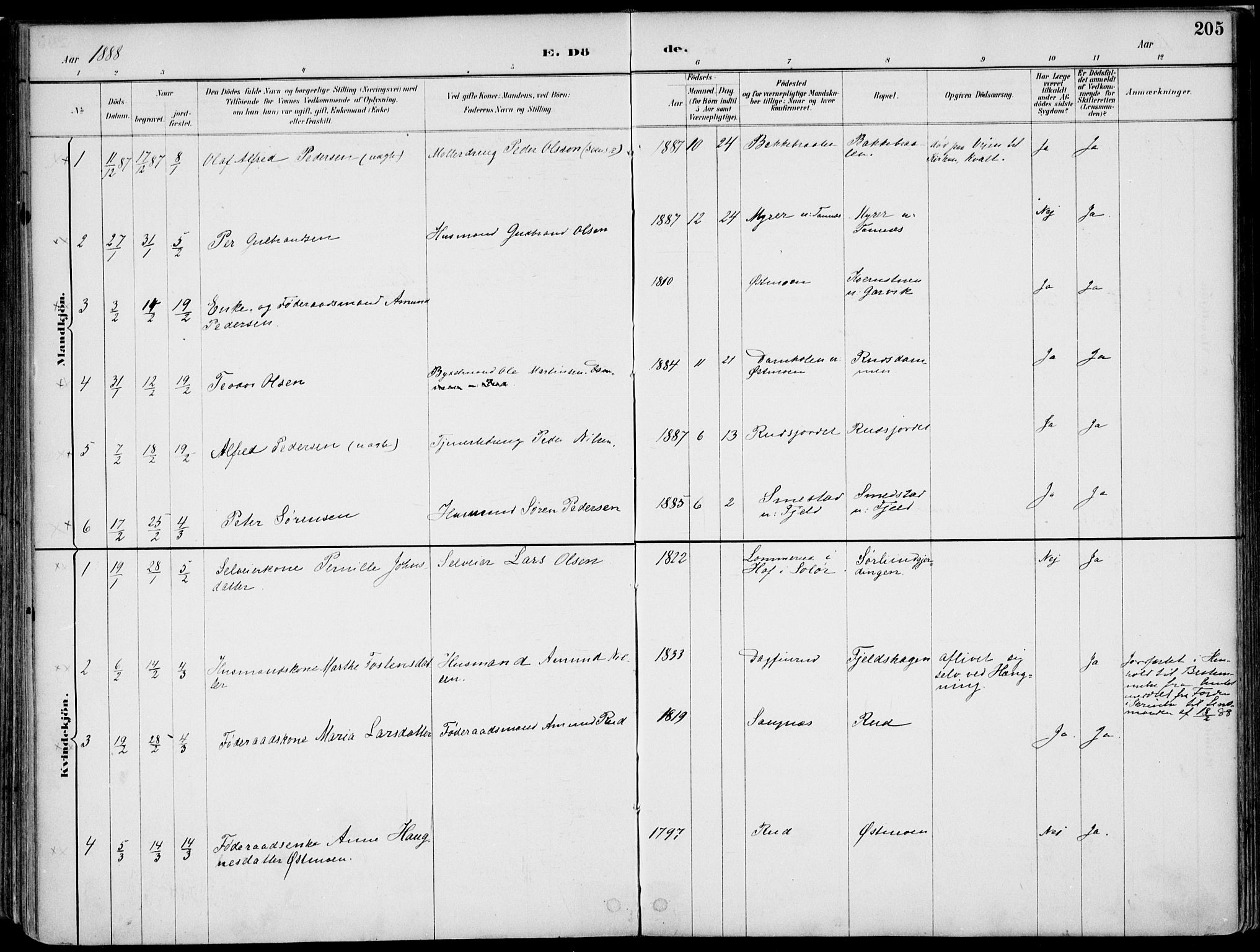 Nord-Odal prestekontor, AV/SAH-PREST-032/H/Ha/Haa/L0008: Parish register (official) no. 8, 1886-1901, p. 205