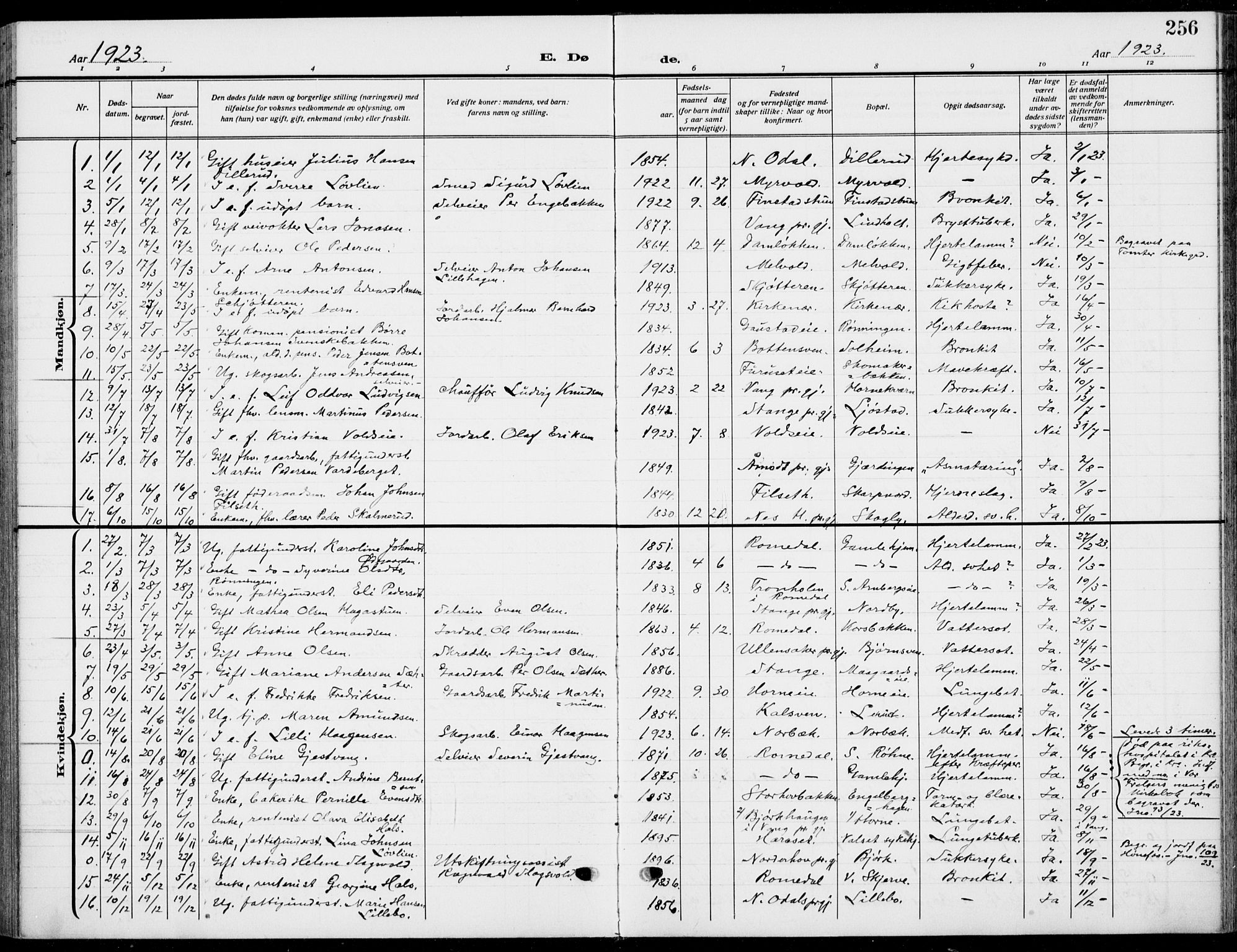 Romedal prestekontor, SAH/PREST-004/K/L0012: Parish register (official) no. 12, 1913-1935, p. 256
