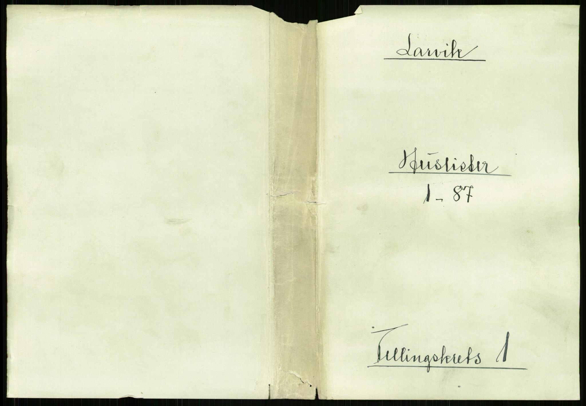 RA, 1891 census for 0707 Larvik, 1891, p. 43