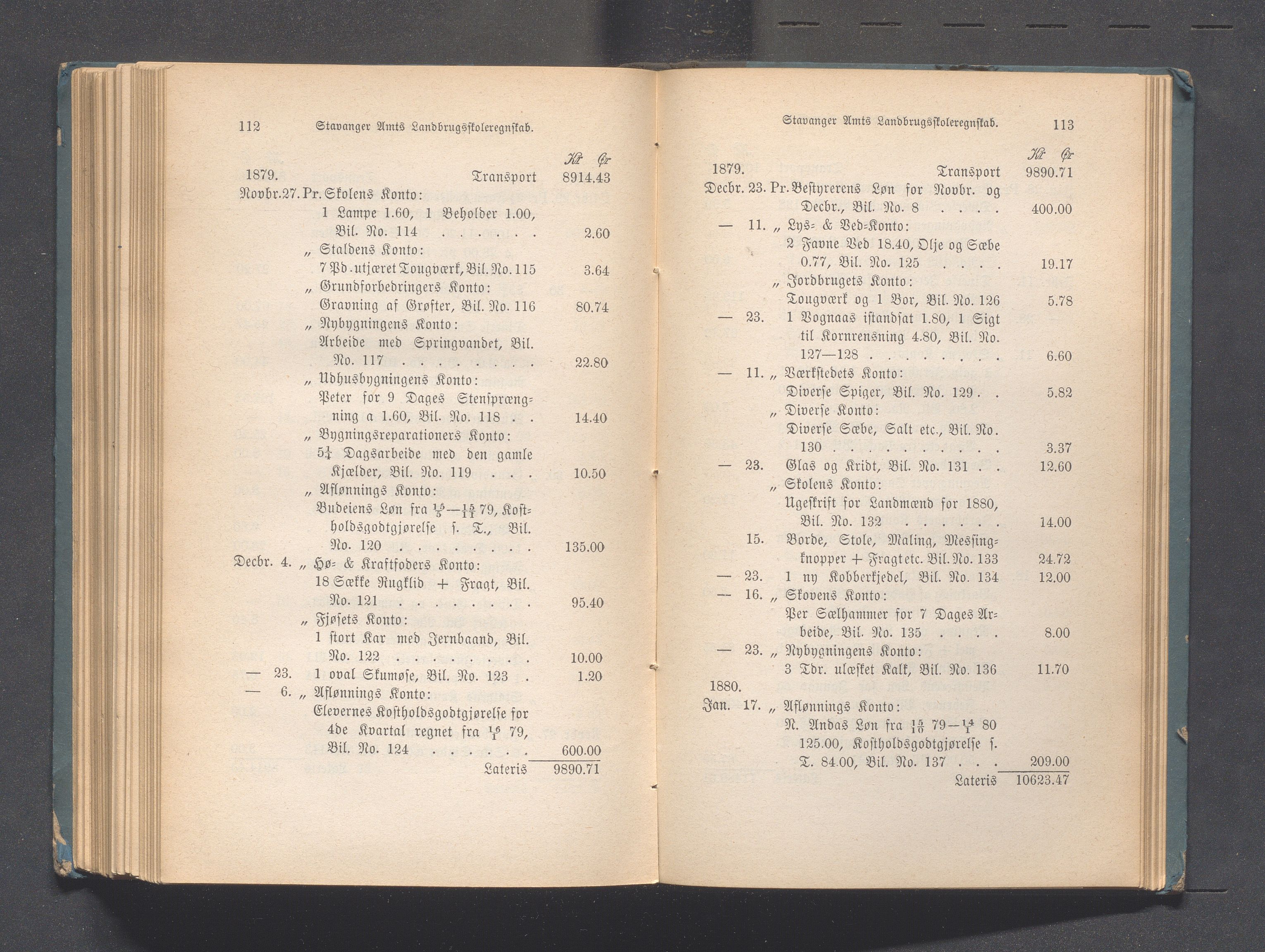 Rogaland fylkeskommune - Fylkesrådmannen , IKAR/A-900/A, 1880, p. 244