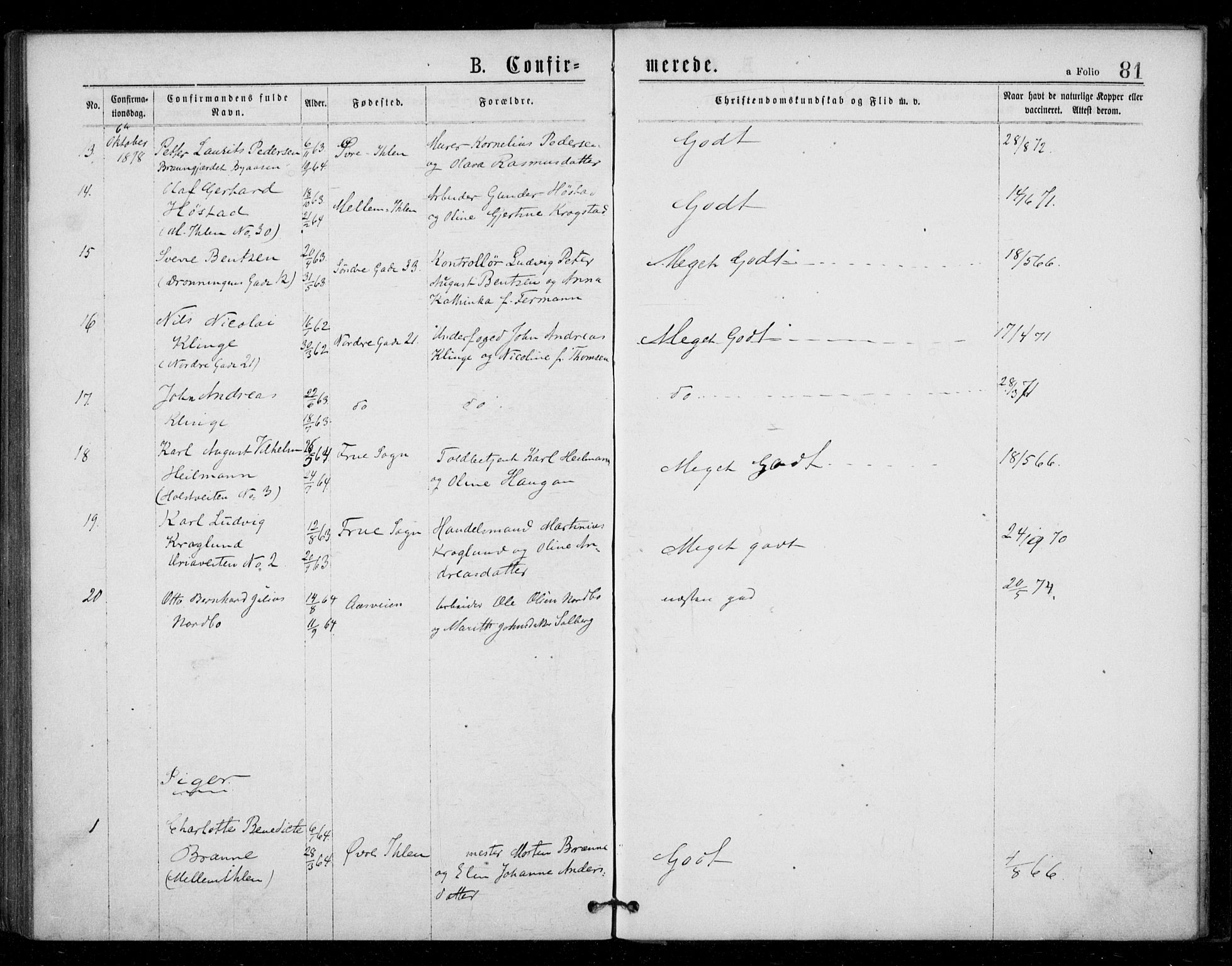 Ministerialprotokoller, klokkerbøker og fødselsregistre - Sør-Trøndelag, AV/SAT-A-1456/602/L0121: Parish register (official) no. 602A19, 1872-1879, p. 81