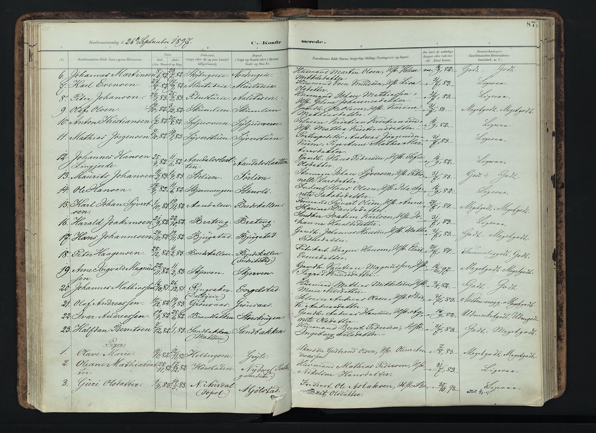 Vardal prestekontor, SAH/PREST-100/H/Ha/Haa/L0019: Parish register (official) no. 19, 1893-1907, p. 87