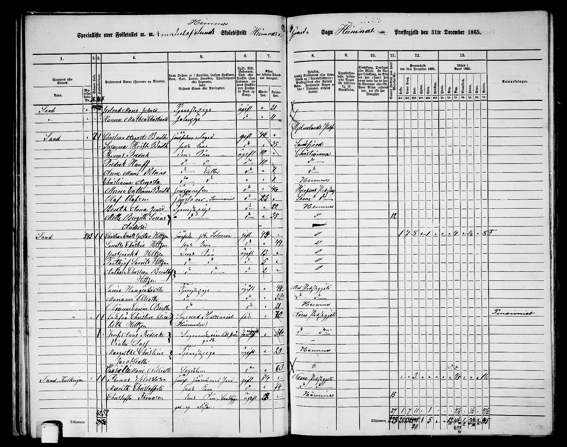 RA, 1865 census for Hemnes, 1865, p. 42