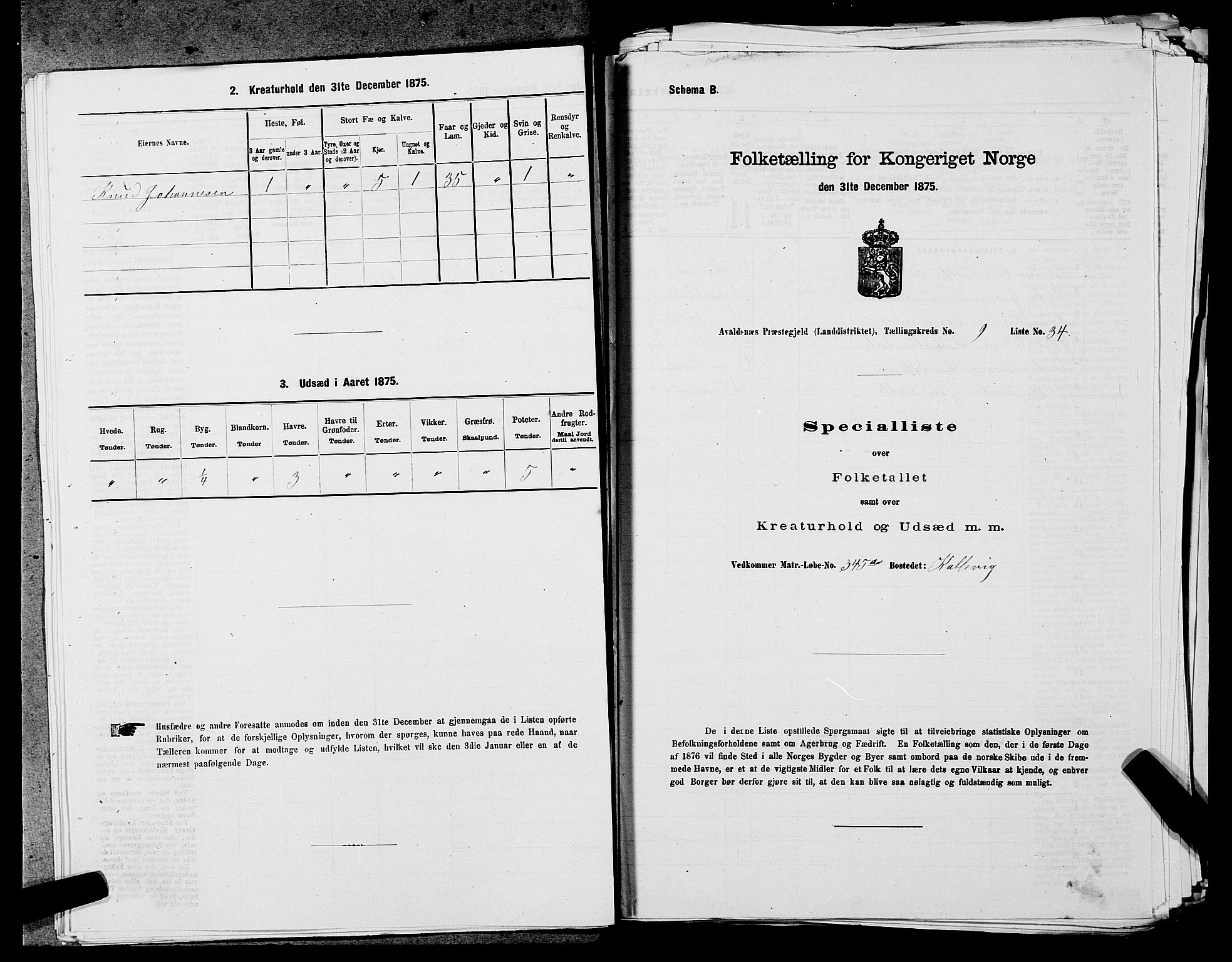 SAST, 1875 census for 1147L Avaldsnes/Avaldsnes og Kopervik, 1875, p. 1485