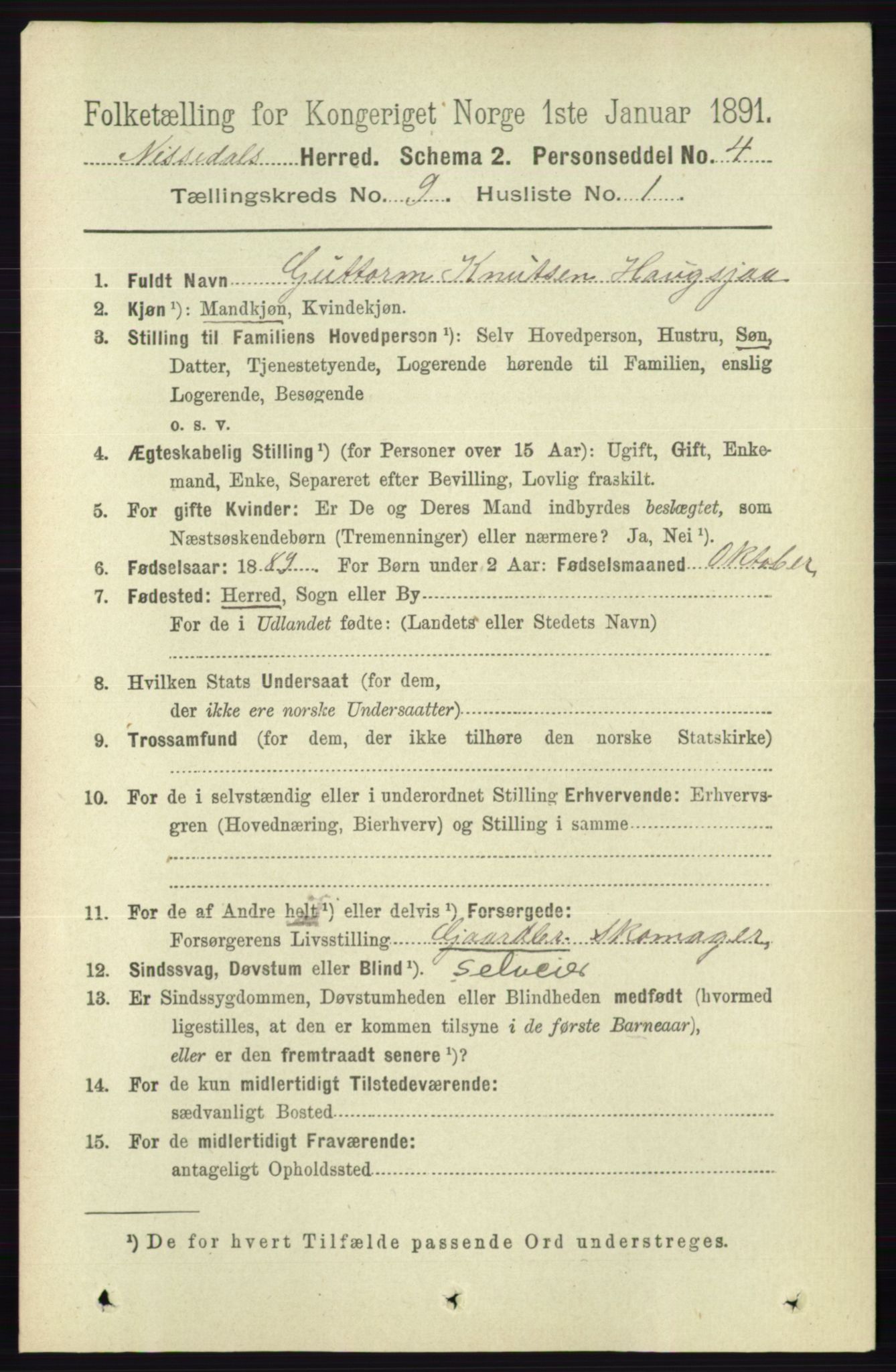 RA, 1891 census for 0830 Nissedal, 1891, p. 1845