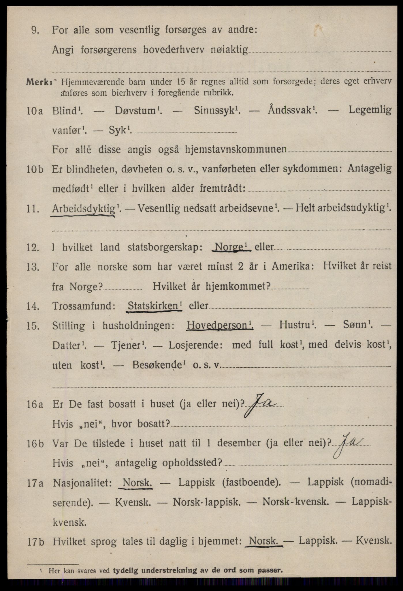 SAT, 1920 census for Strinda, 1920, p. 26119