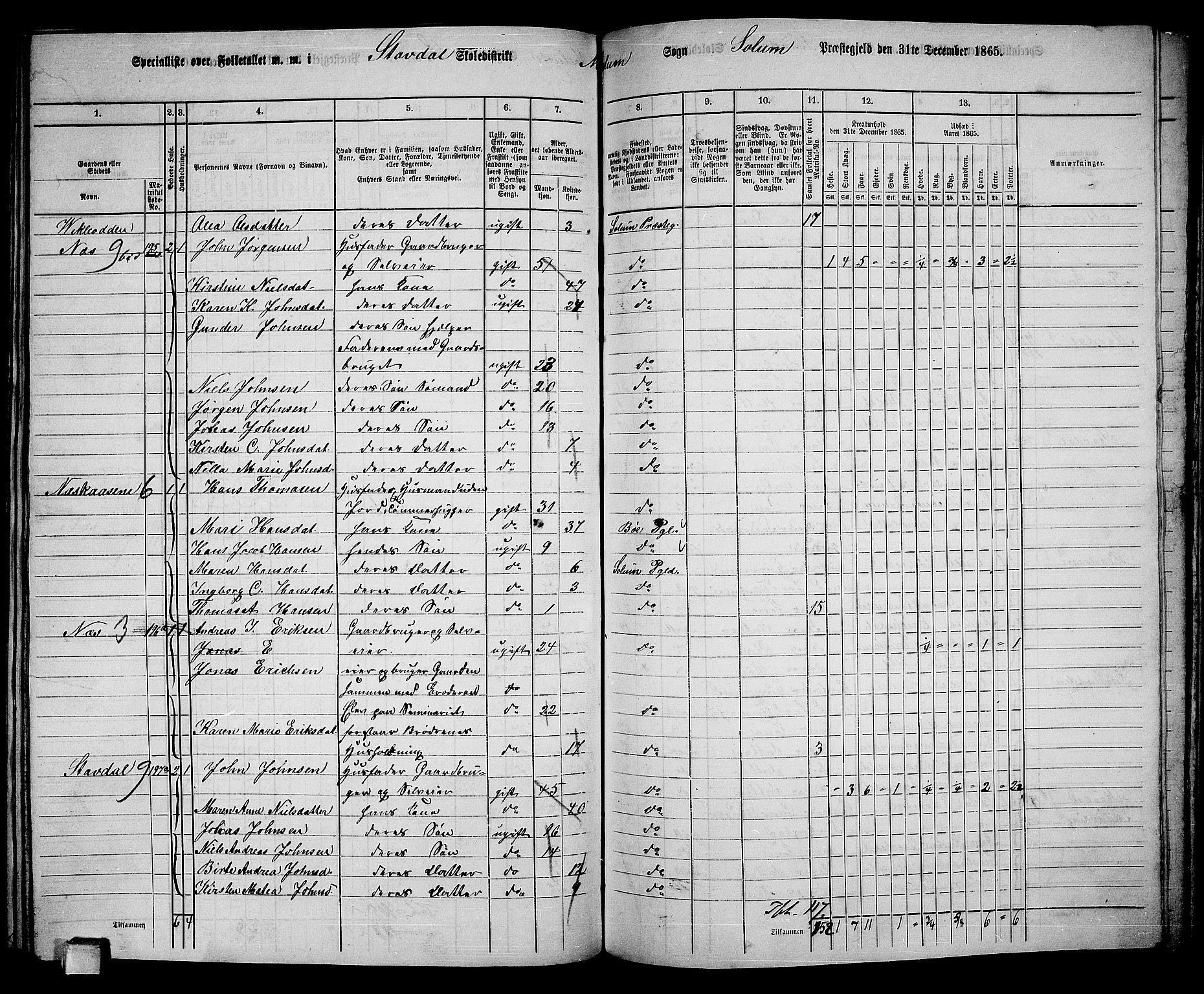 RA, 1865 census for Solum, 1865, p. 164