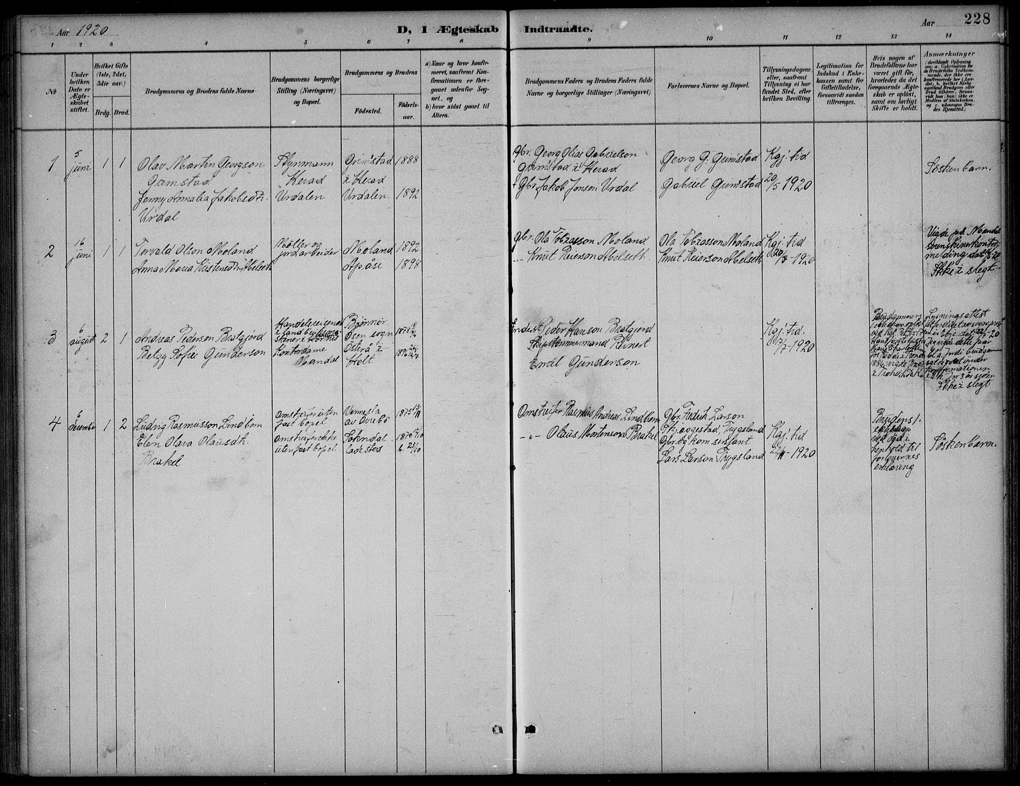 Bjelland sokneprestkontor, SAK/1111-0005/F/Fb/Fba/L0005: Parish register (copy) no. B 5, 1887-1923, p. 228