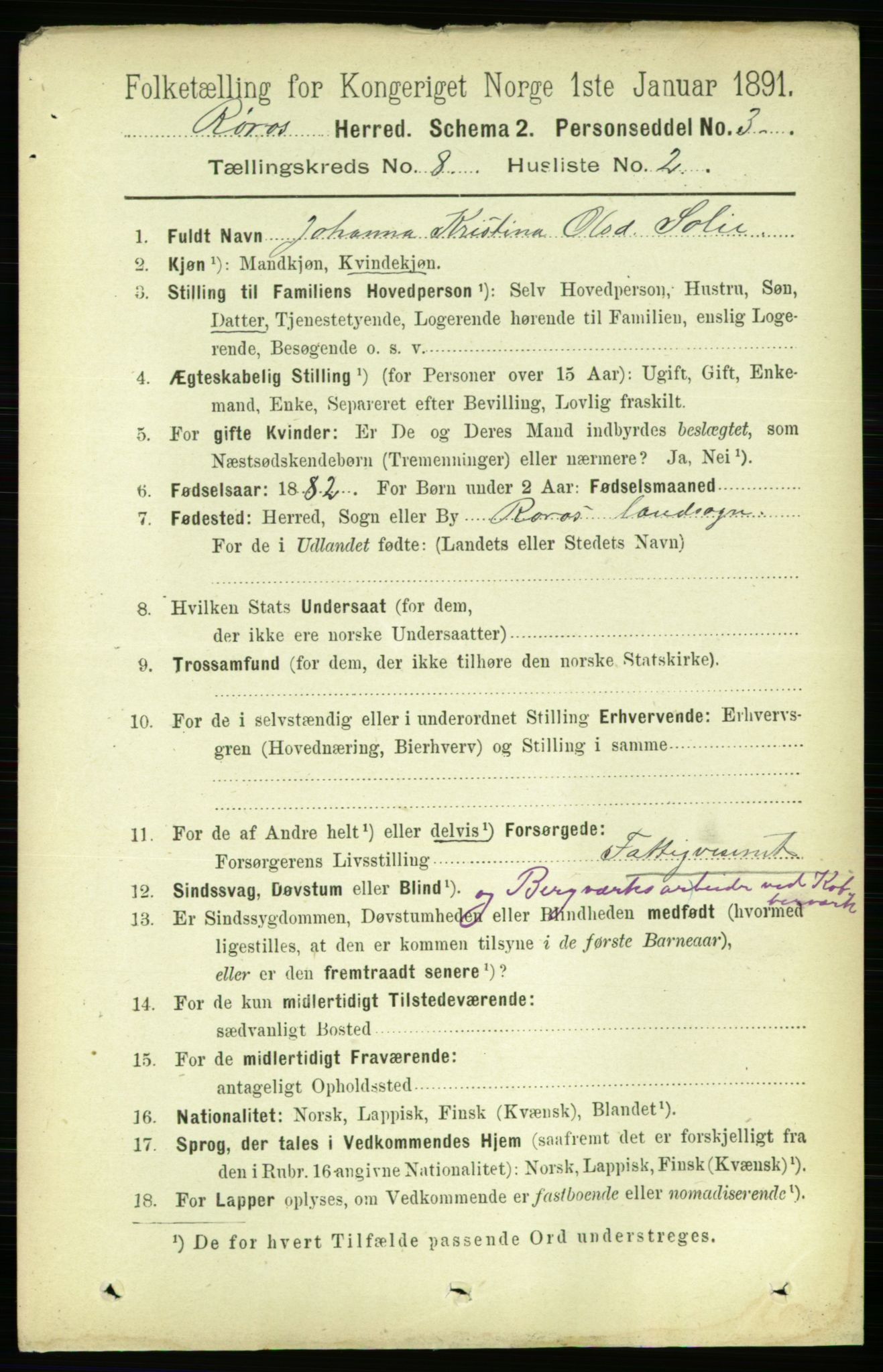 RA, 1891 census for 1640 Røros, 1891, p. 1613