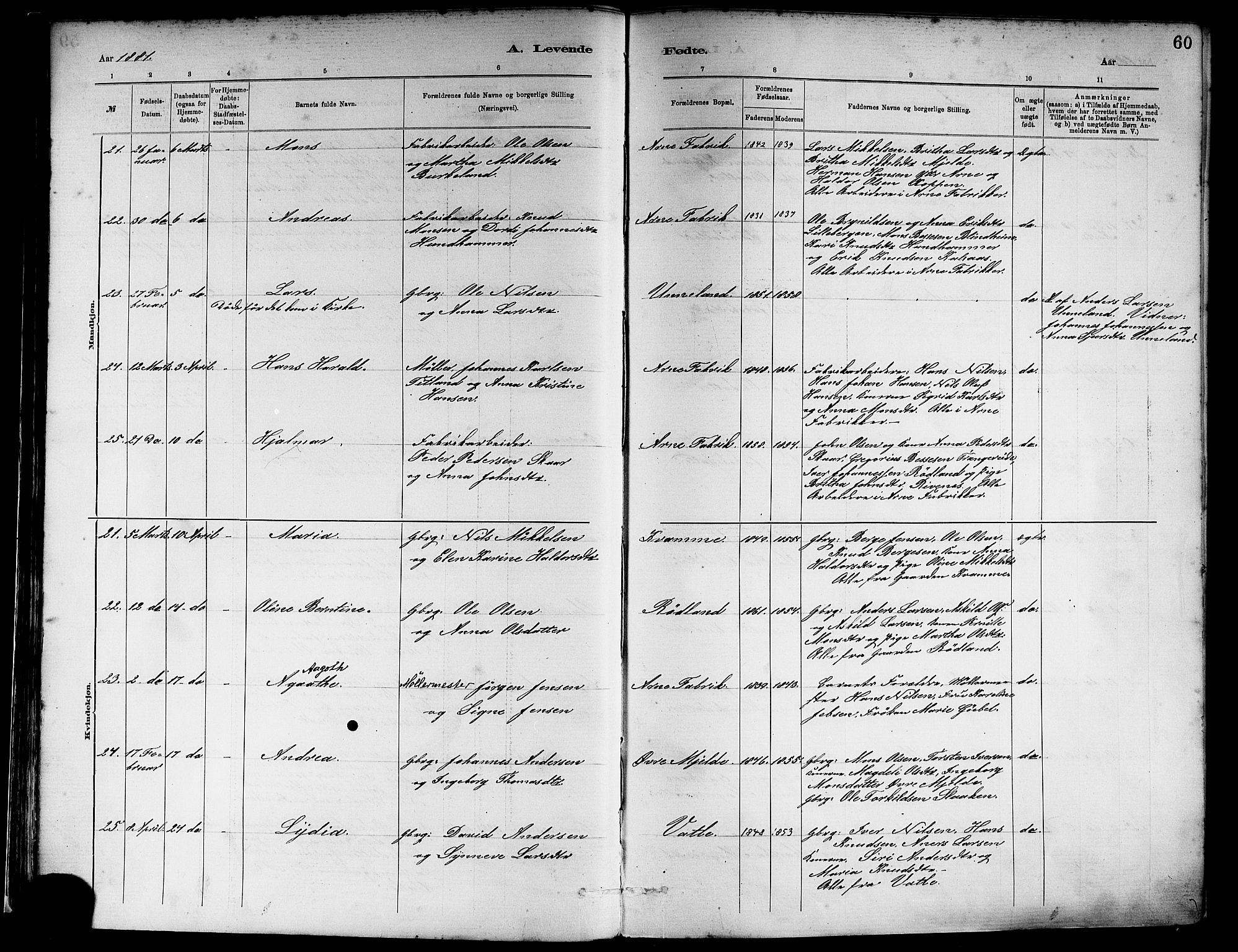 Haus sokneprestembete, AV/SAB-A-75601/H/Haa: Parish register (official) no. A 19I, 1878-1886, p. 60