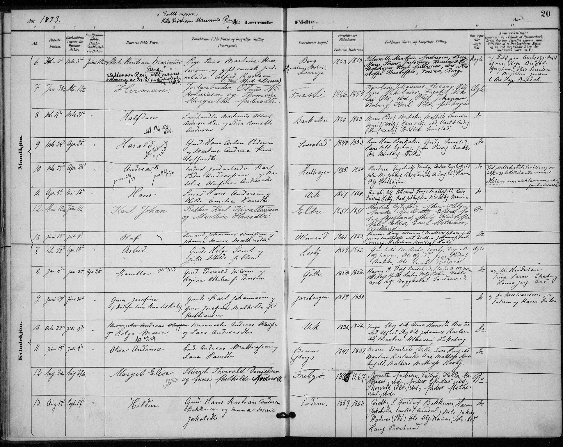 Sem kirkebøker, SAKO/A-5/F/Fa/L0011: Parish register (official) no. I 11, 1888-1904, p. 20